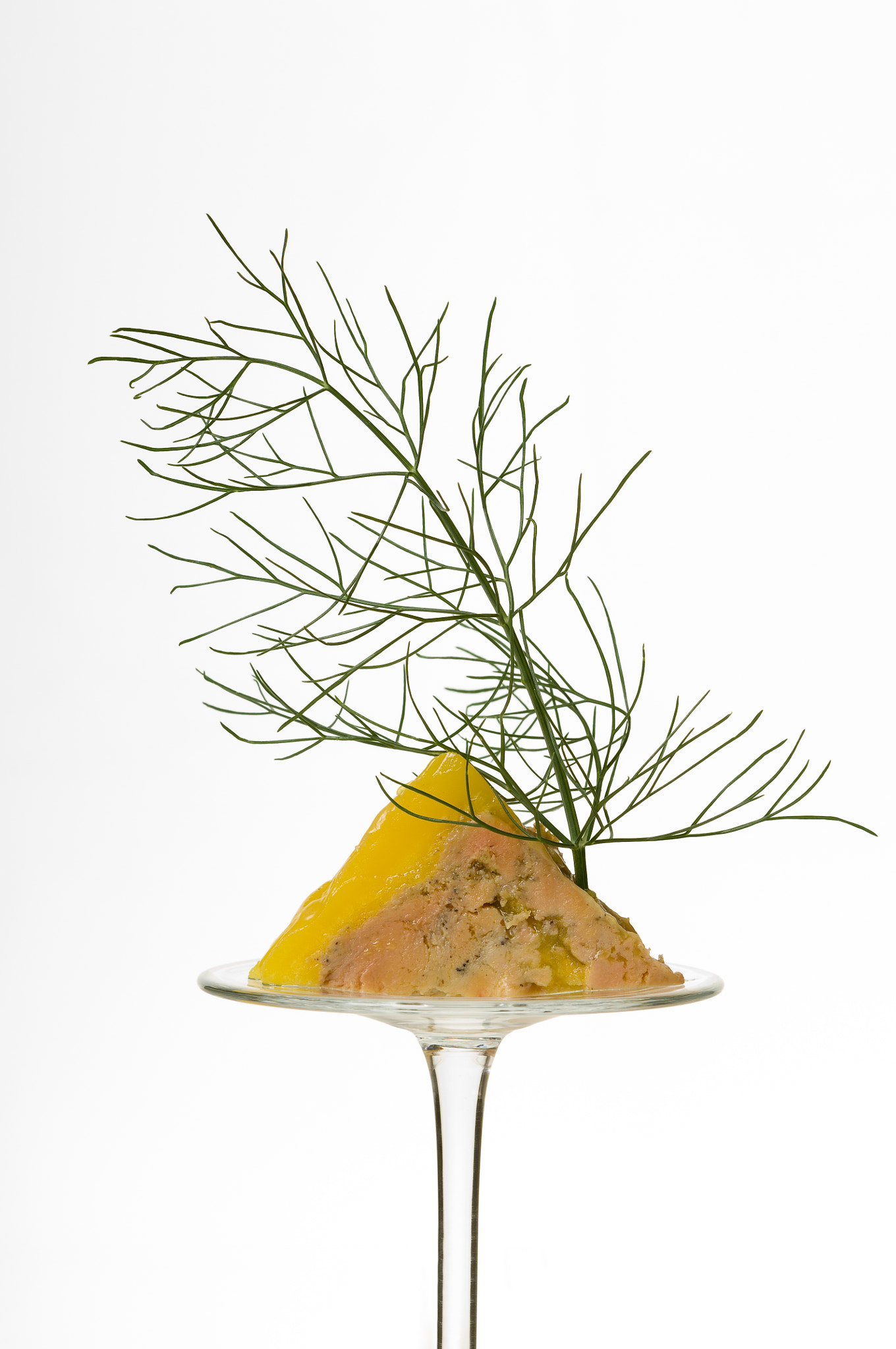 Nikon D2X sample photo. Goose liver with dill photography