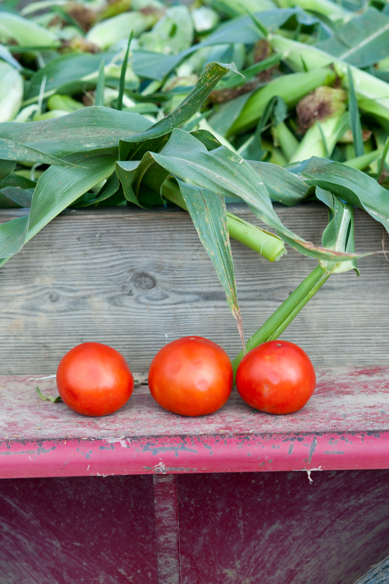 Nikon D700 + AF DC-Nikkor 135mm f/2 sample photo. Vegetables photography