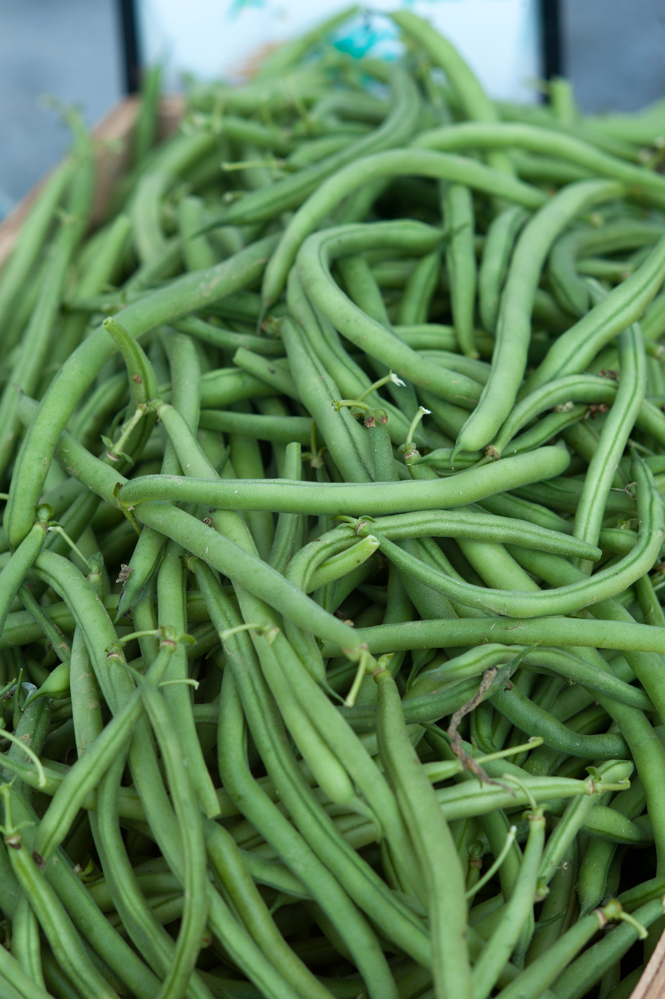 Nikon D700 + AF DC-Nikkor 135mm f/2 sample photo. Green beans photography