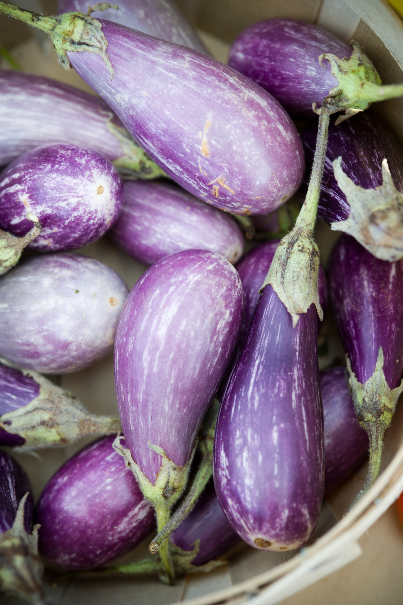 Nikon D3S sample photo. Eggplants photography