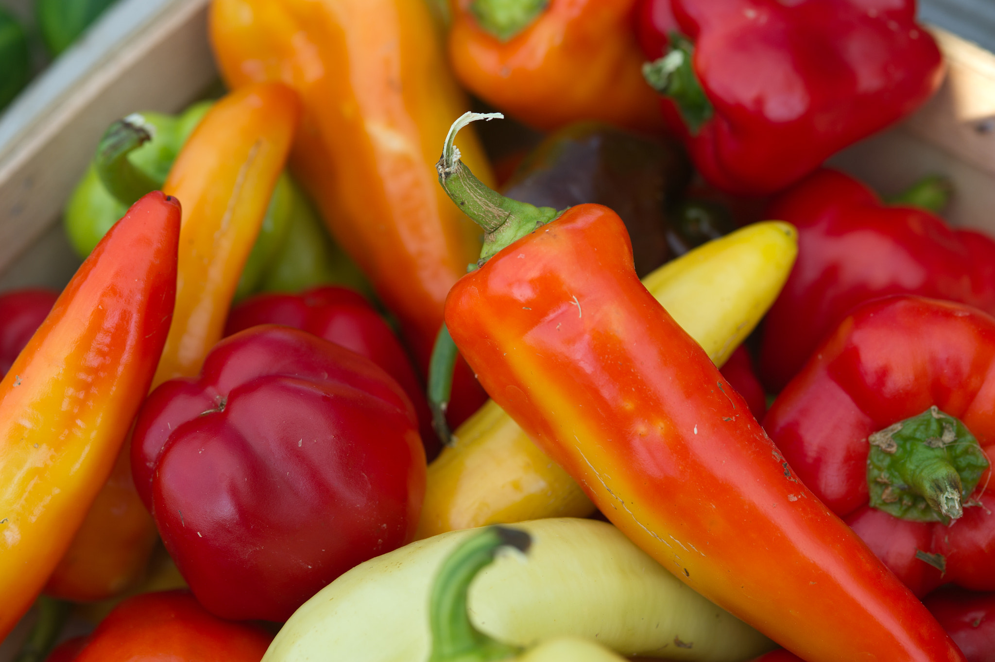 Nikon D3S sample photo. Peppers photography
