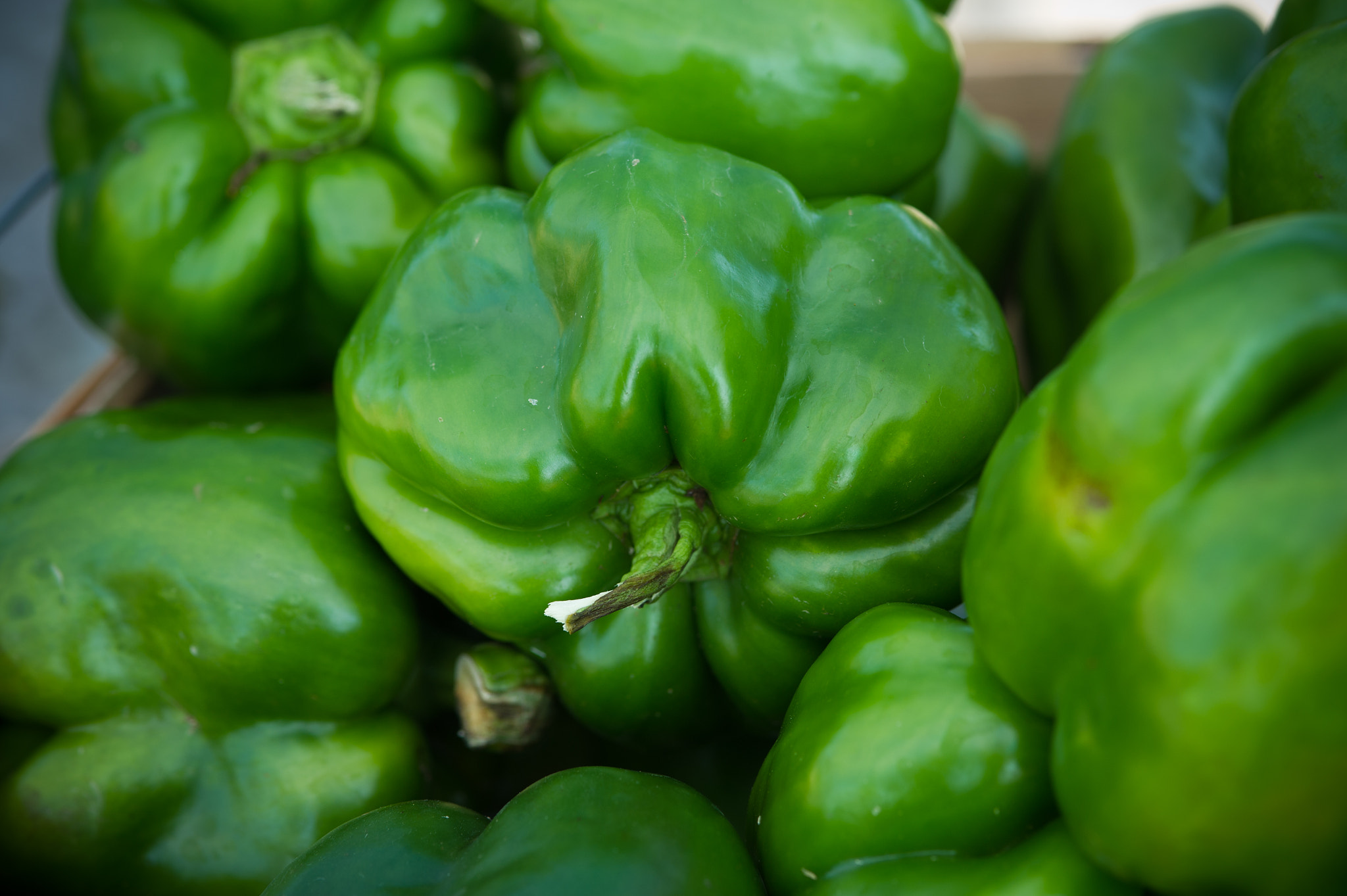 Nikon D3S + Nikon AF-S Micro-Nikkor 105mm F2.8G IF-ED VR sample photo. Green peppers photography