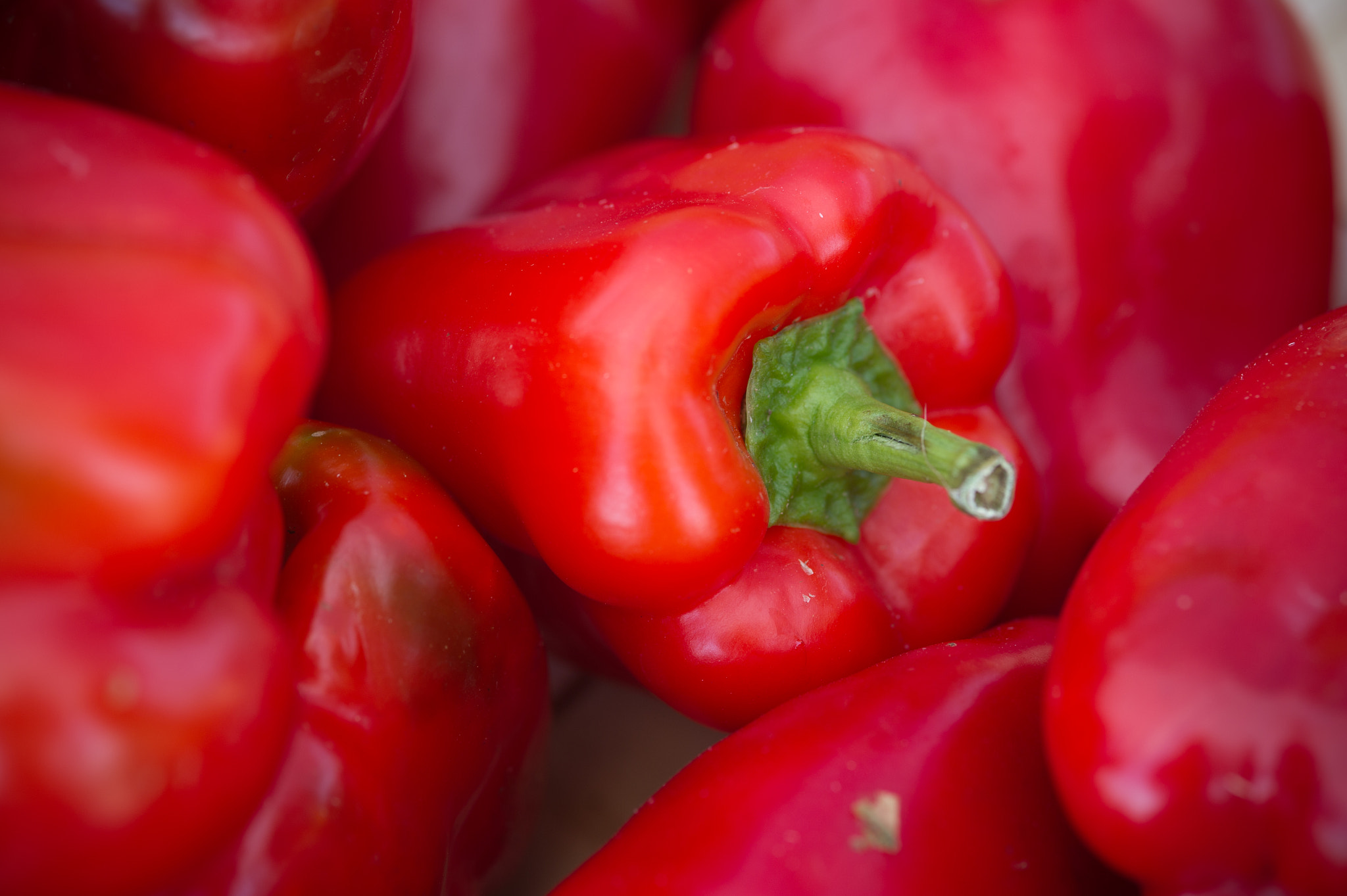 Nikon D3S + Nikon AF-S Micro-Nikkor 105mm F2.8G IF-ED VR sample photo. Red peppers photography