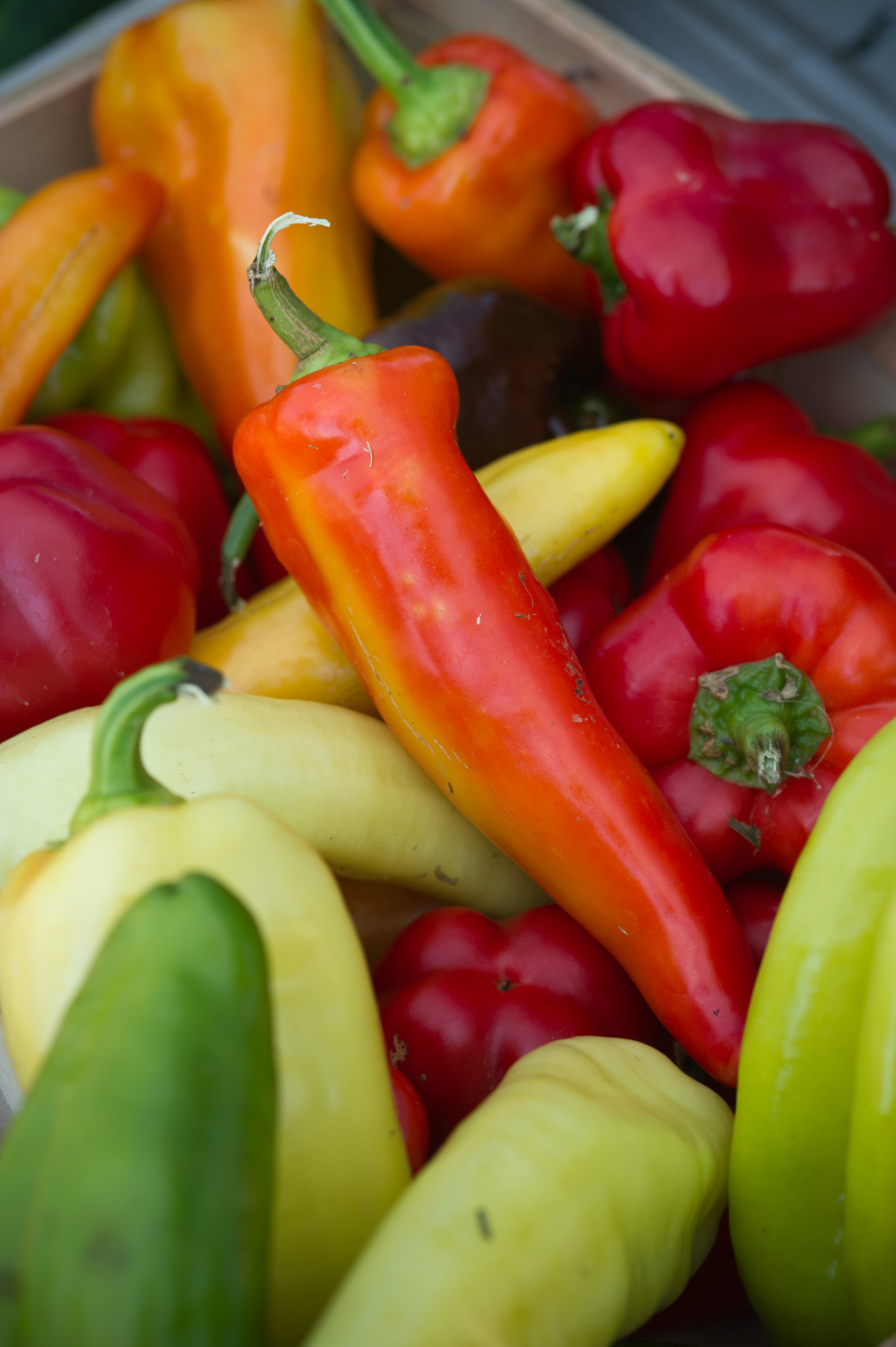 Nikon D3S sample photo. Peppers photography