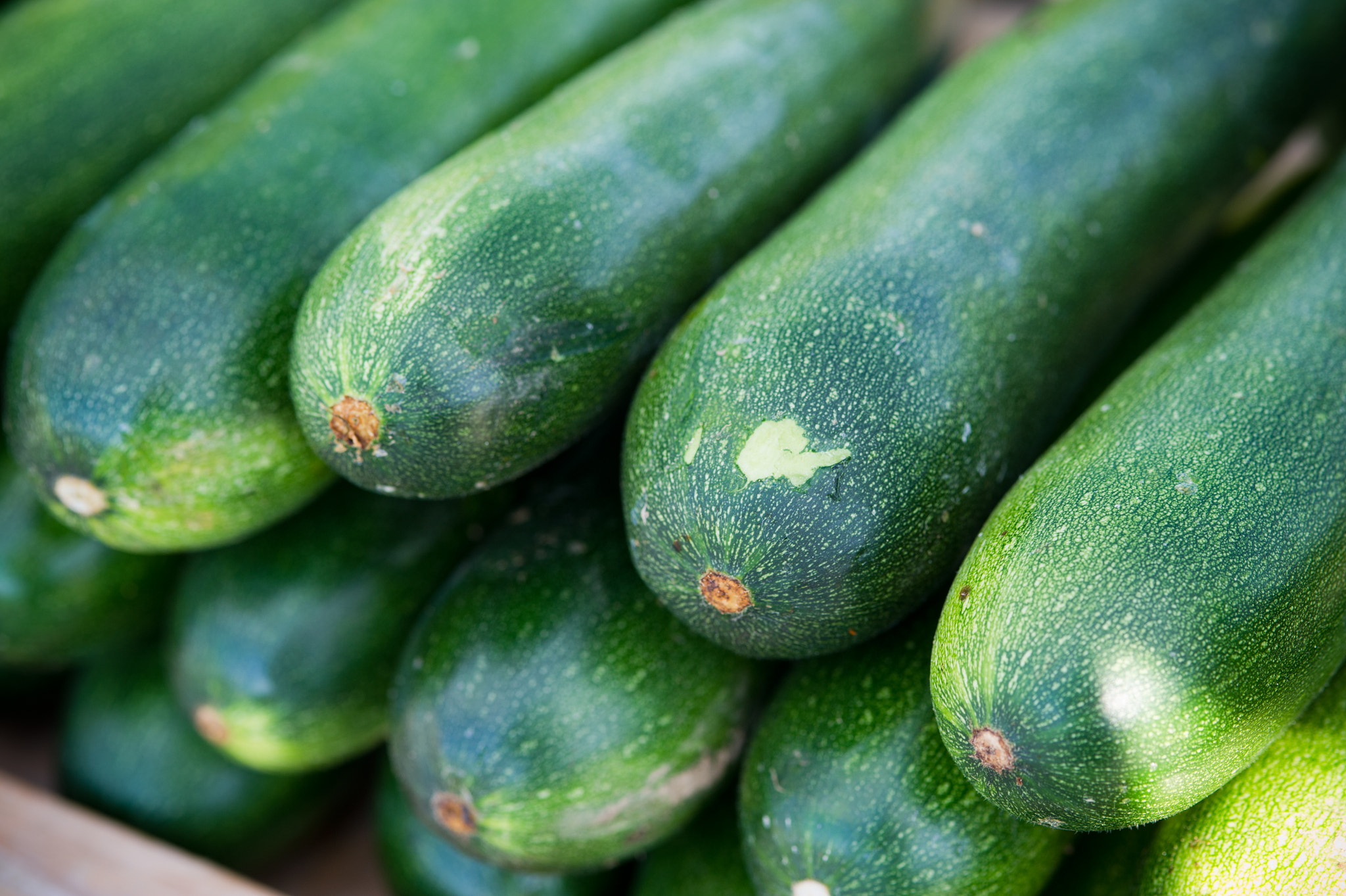 Nikon D3S sample photo. Cucumbers photography