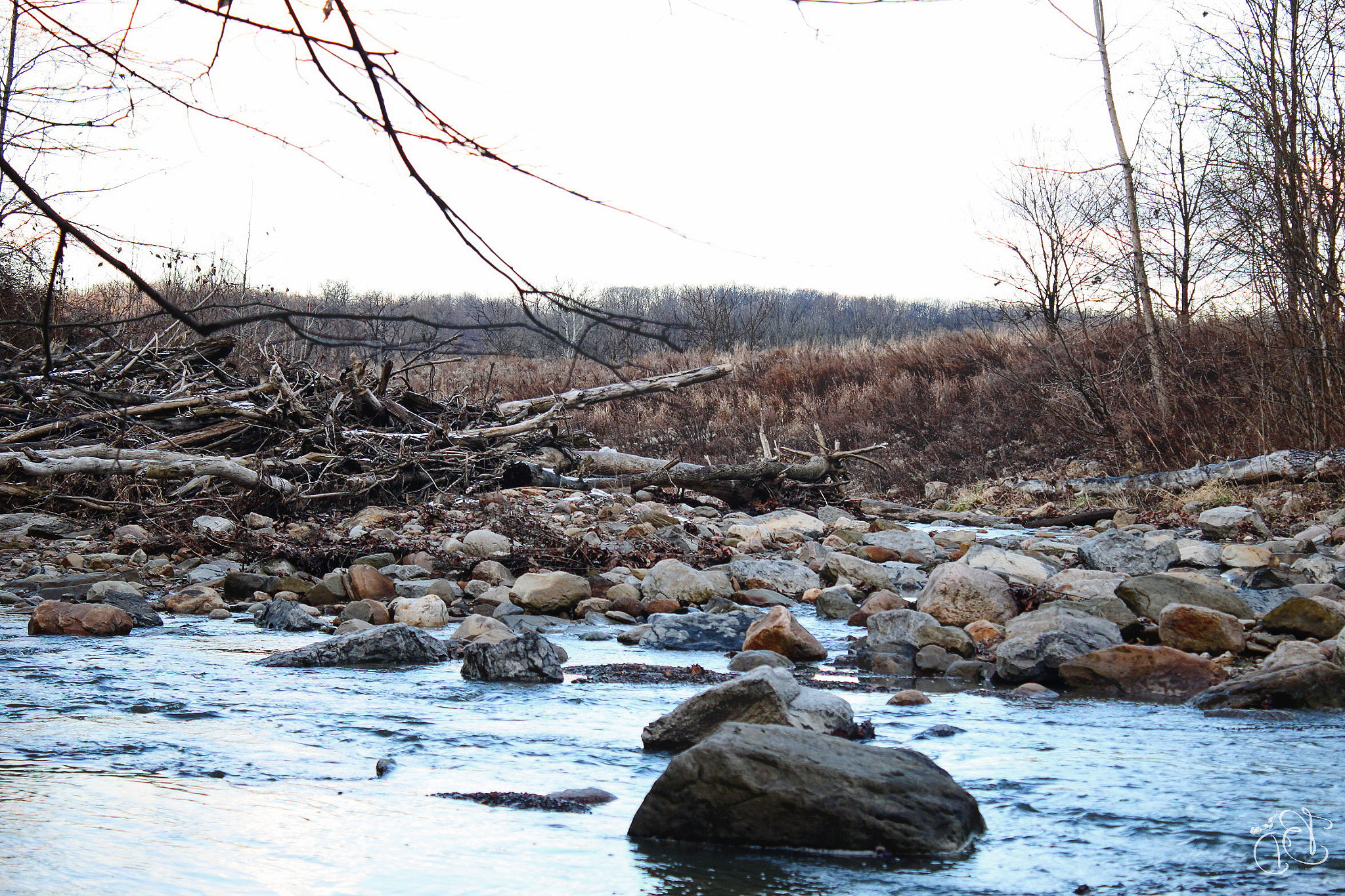 Canon EOS 500D (EOS Rebel T1i / EOS Kiss X3) sample photo. Cuyahoga river photography