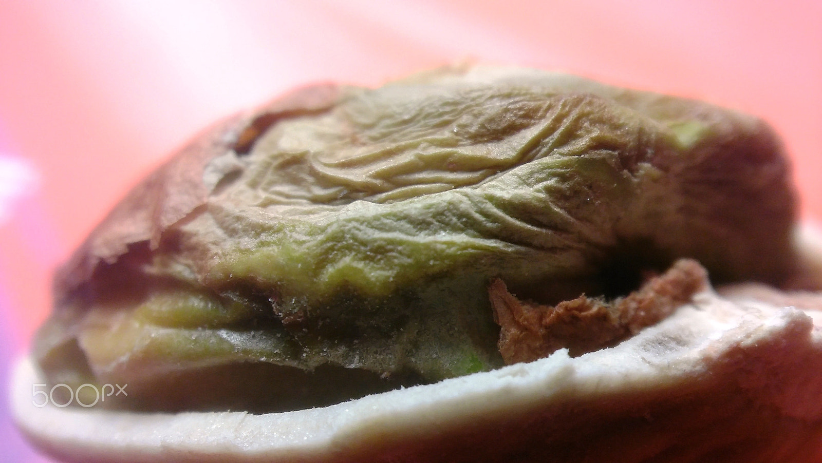 LG SPIRIT 4G LTE sample photo. Pistachio photography