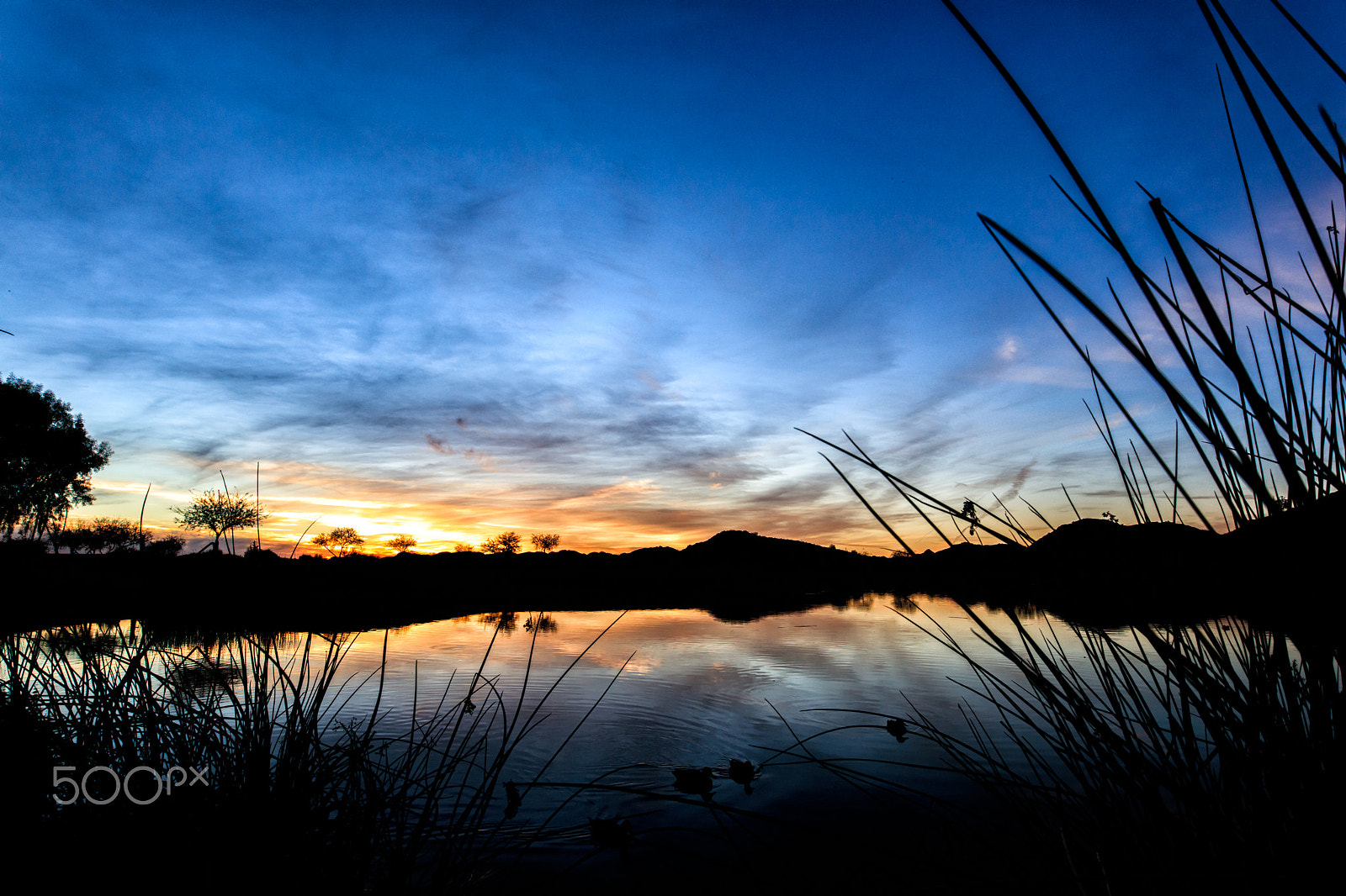 Sigma 20mm F1.4 DG HSM Art sample photo. Tranquility photography