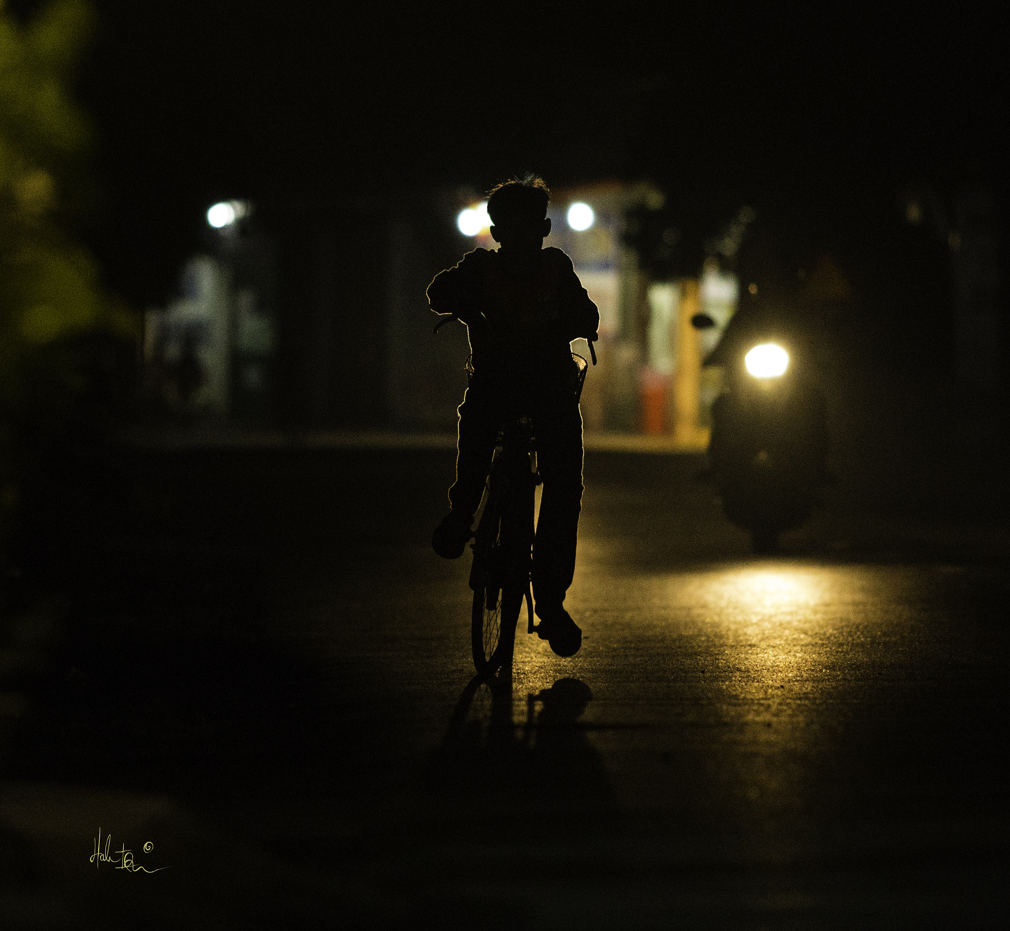Canon EOS 6D + Canon EF 200mm F2.8L II USM sample photo. Night, trang an photography