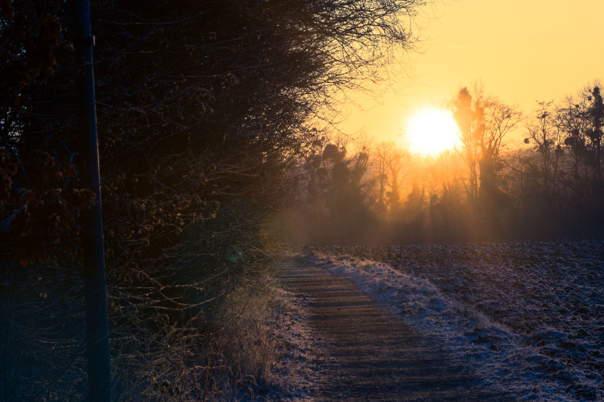 Sony ILCA-77M2 sample photo. Winter abend photography