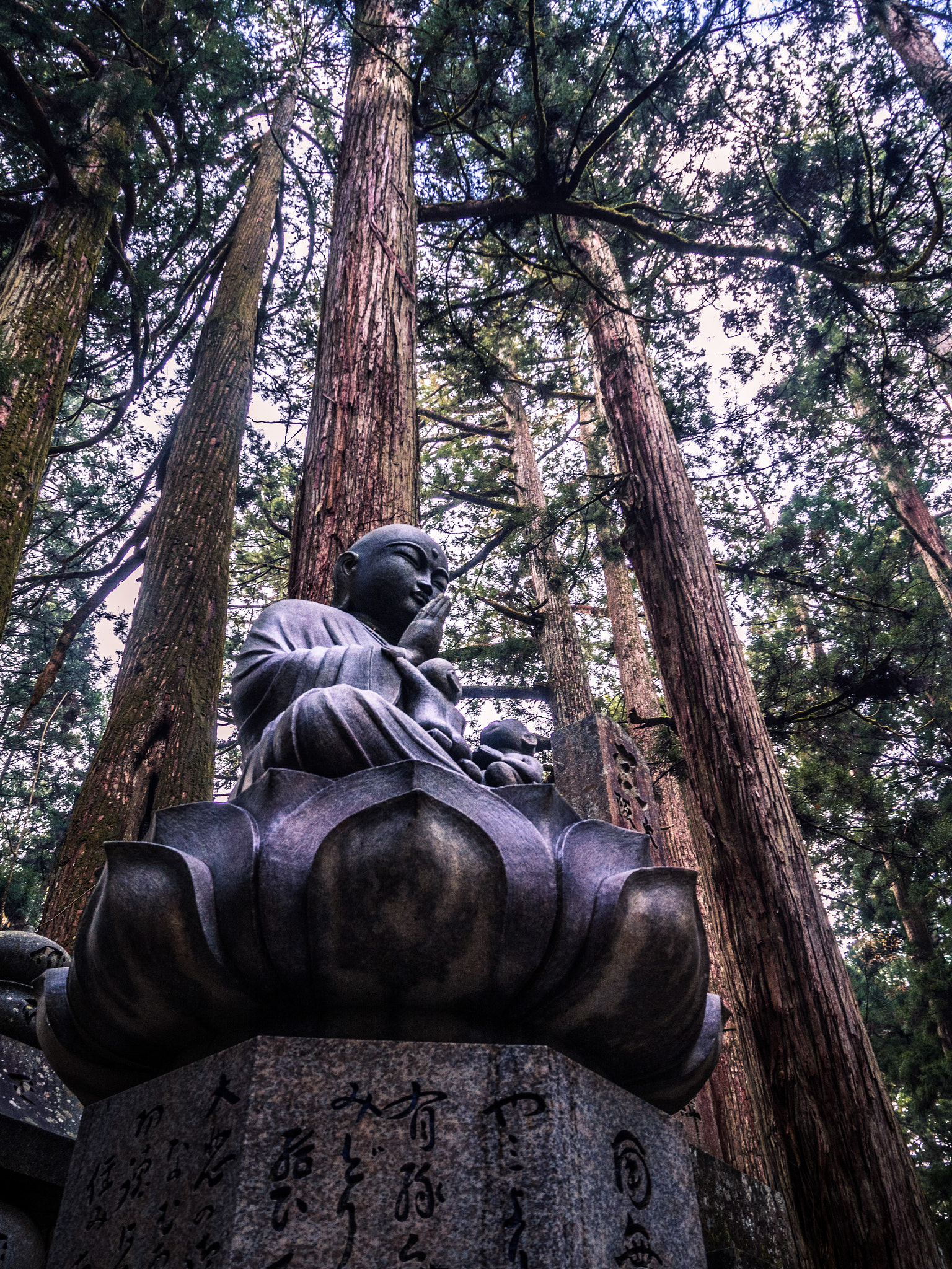 Olympus PEN-F sample photo. Buddha amidst tall cedar trees photography