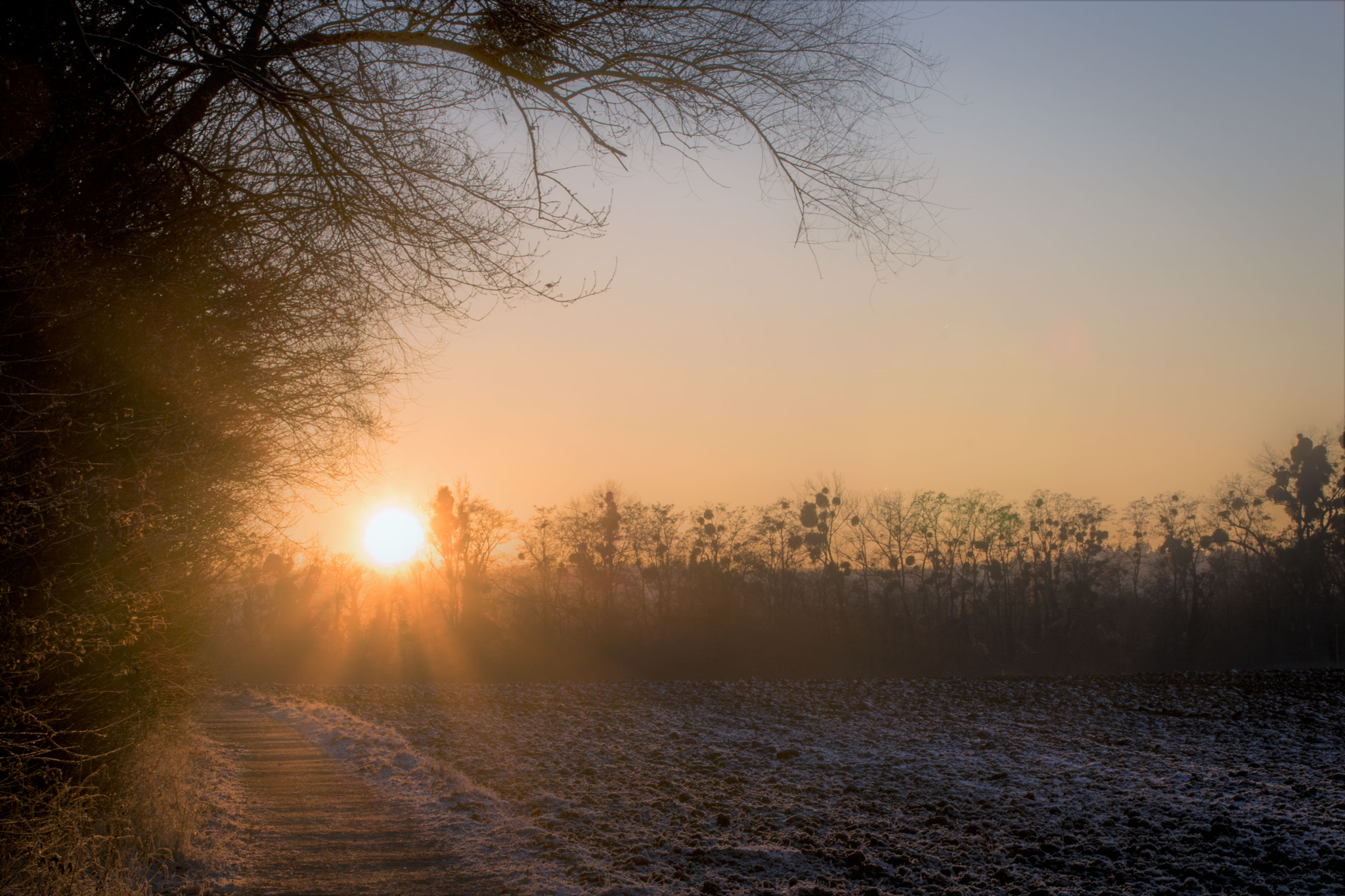 Tamron AF 28-105mm F4-5.6 [IF] sample photo. Winter abend2 photography