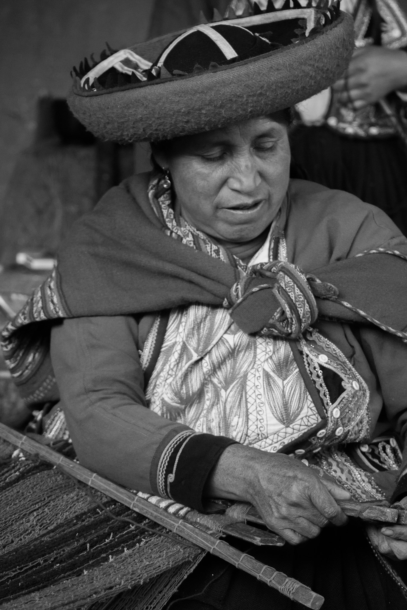 Canon EF 90-300mm F4.5-5.6 sample photo. Raíces photography