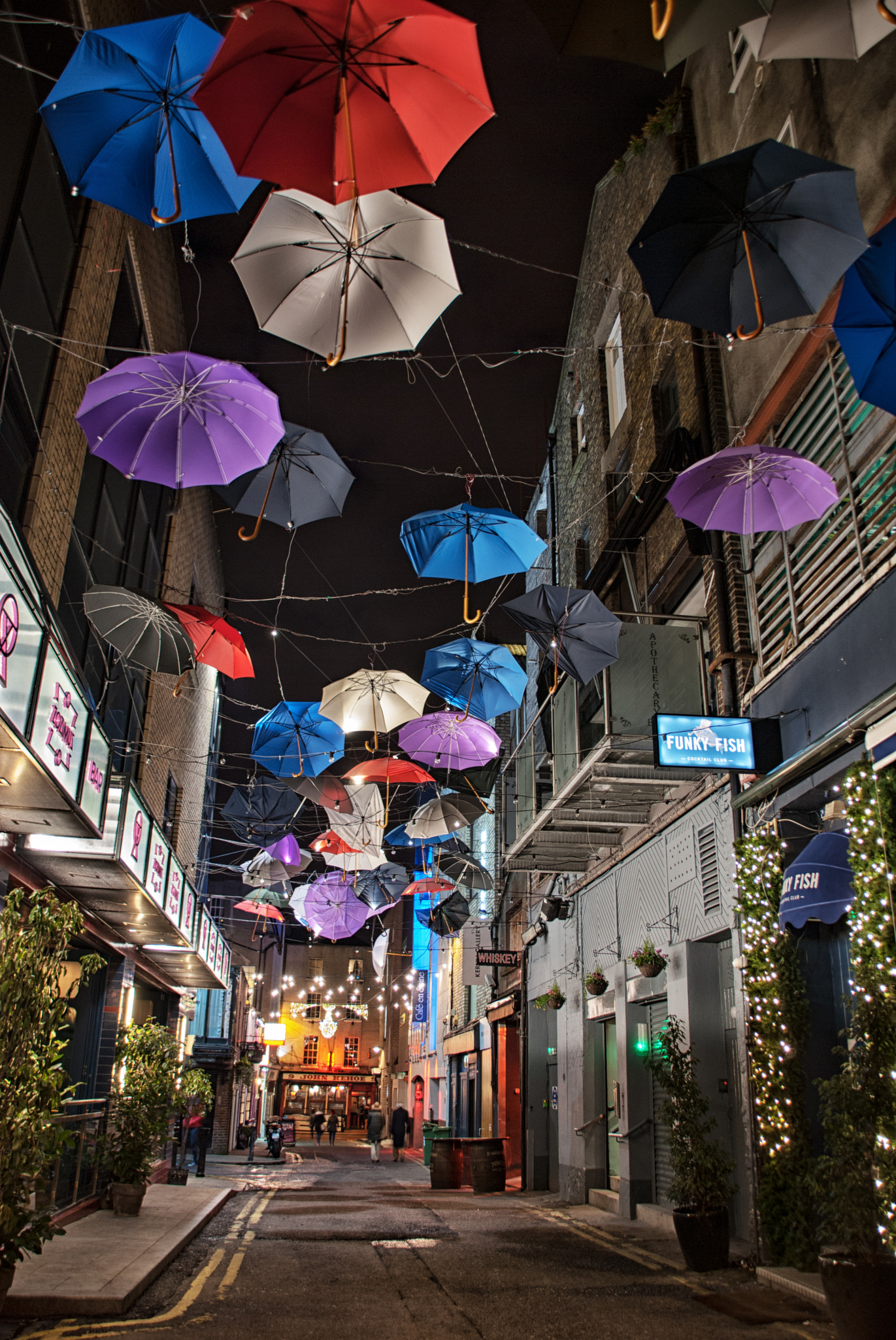 Nikon D60 + Sigma 18-200mm F3.5-6.3 DC OS HSM sample photo. Dublin brollies photography