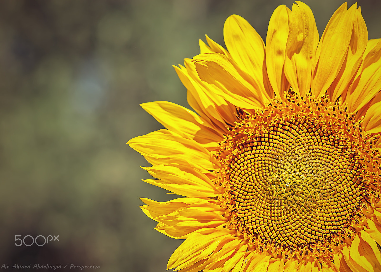 Nikon D200 sample photo. Perspective.....!! photography