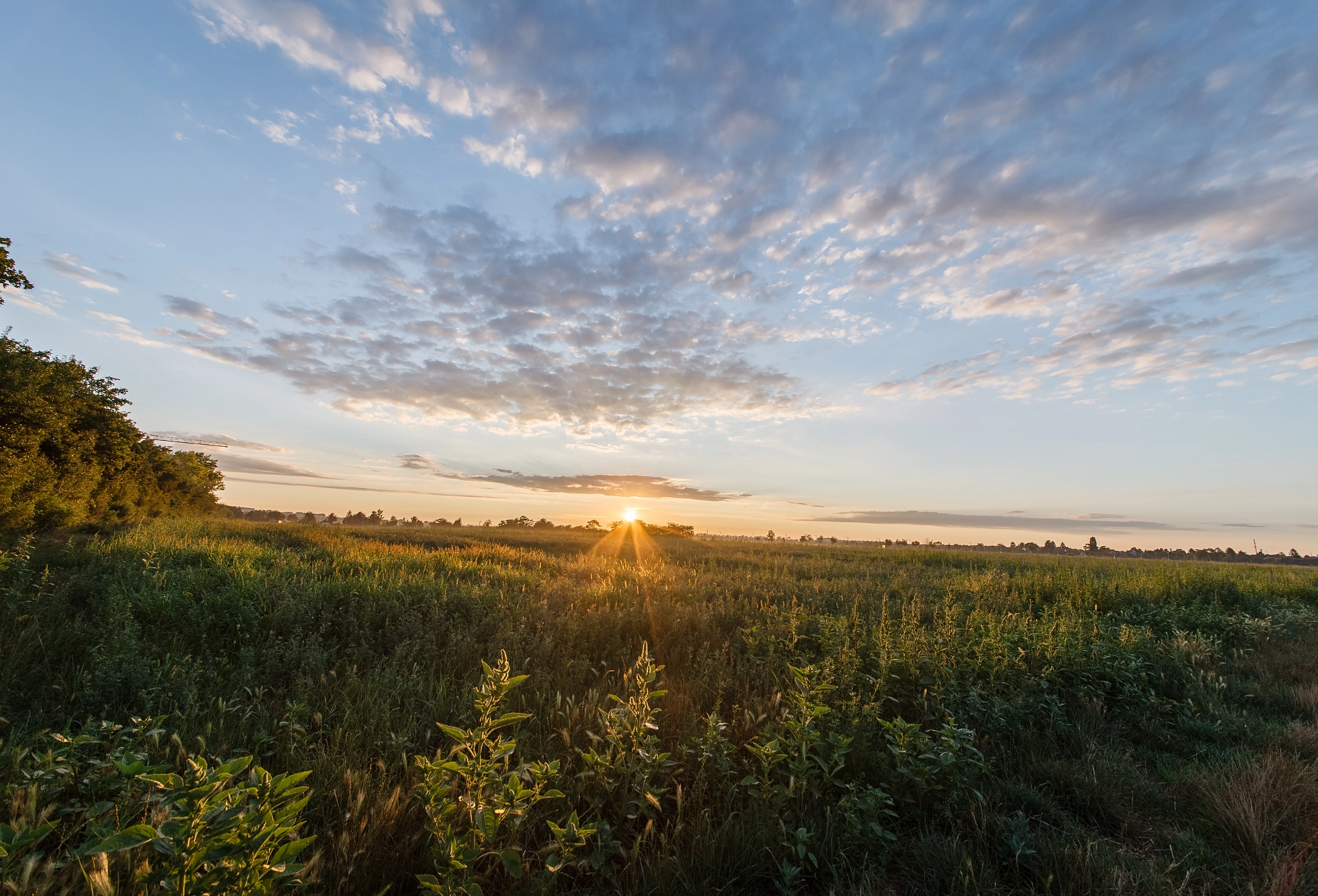 Sigma 12-24mm F4.5-5.6 II DG HSM sample photo. Sunrise in the outskirts of vienna photography