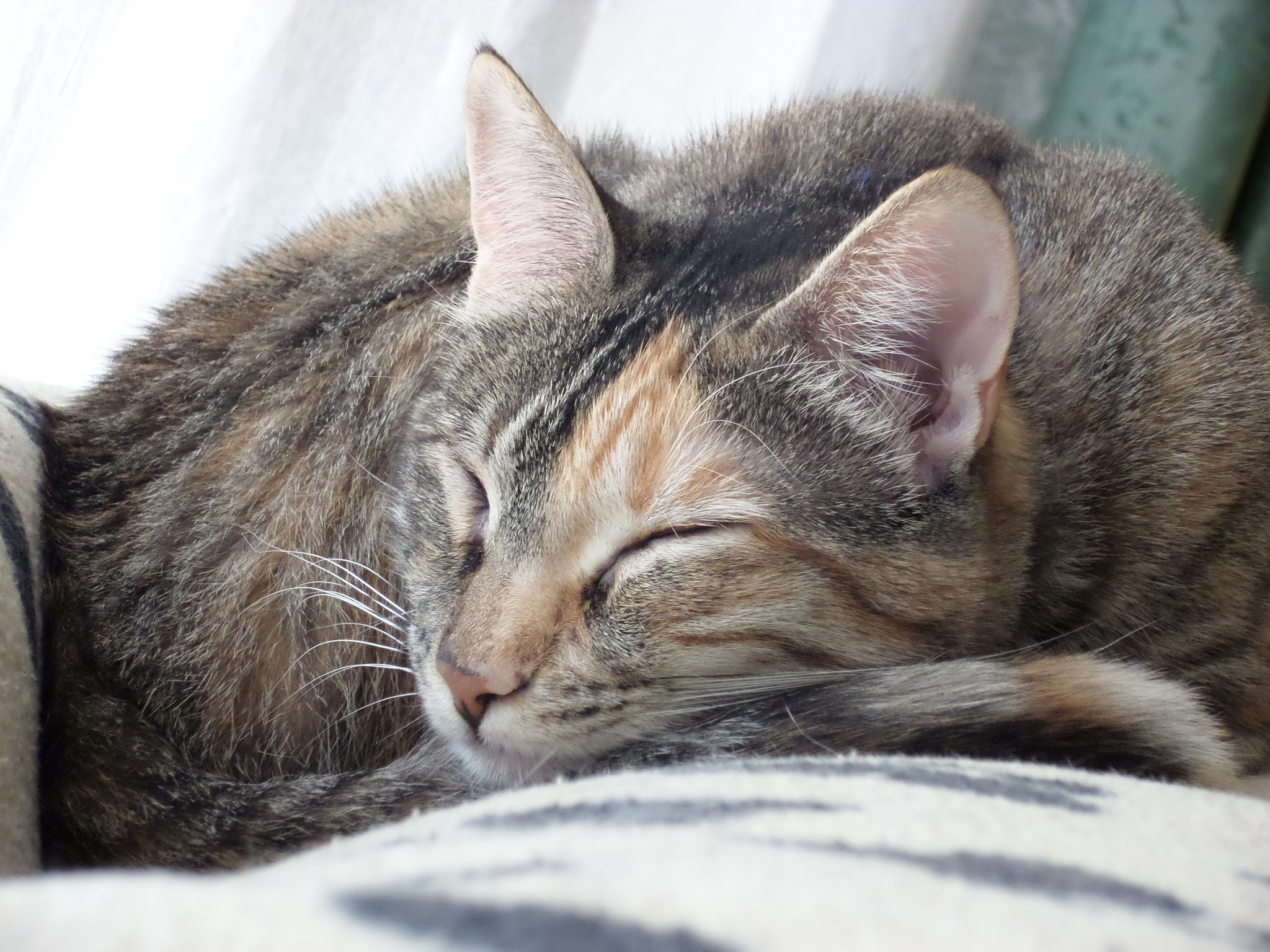 Samsung WB30F/WB31F/WB32F sample photo