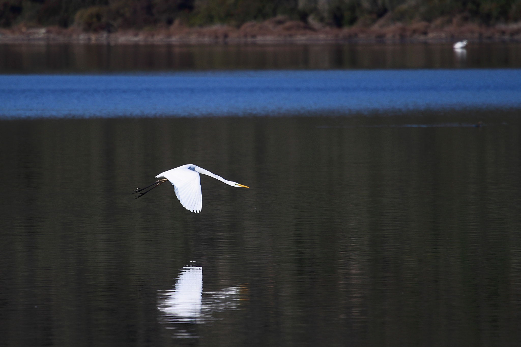 Canon EF 100-400mm F4.5-5.6L IS USM sample photo. Bargilya photography