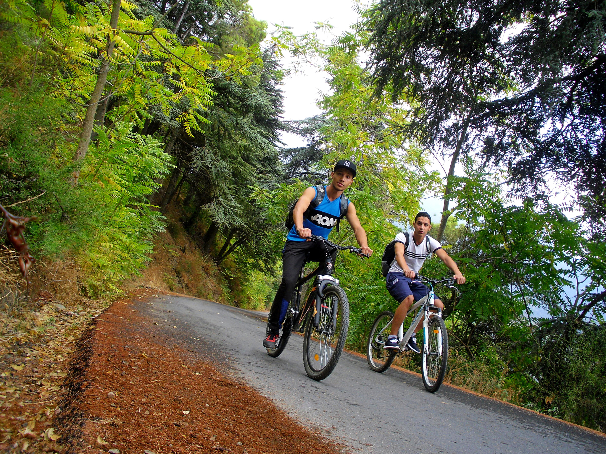 Samsung PL90/VLUU PL90 sample photo. Adventure bike photography