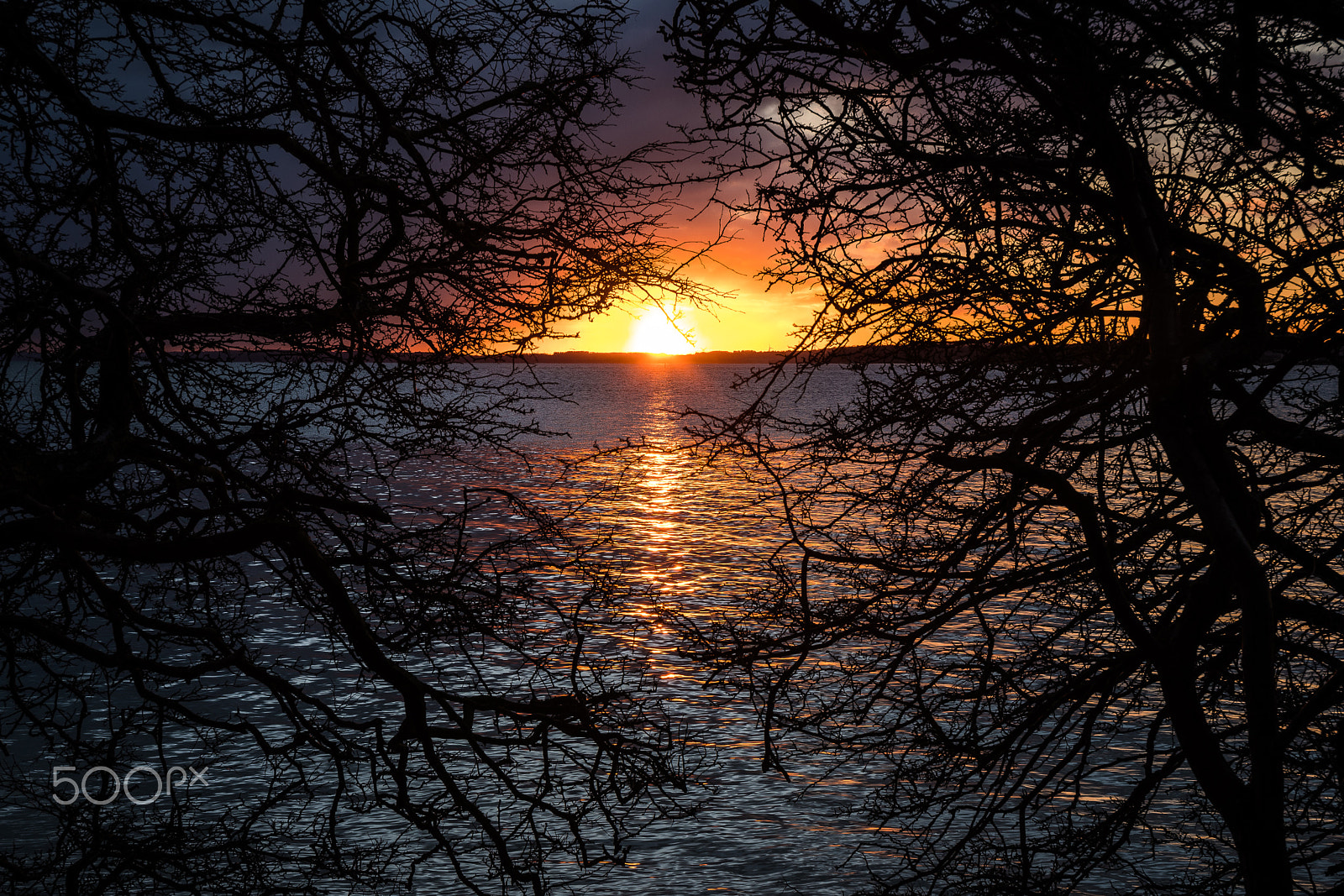 Nikon D500 sample photo. Sunset at fønsskov photography