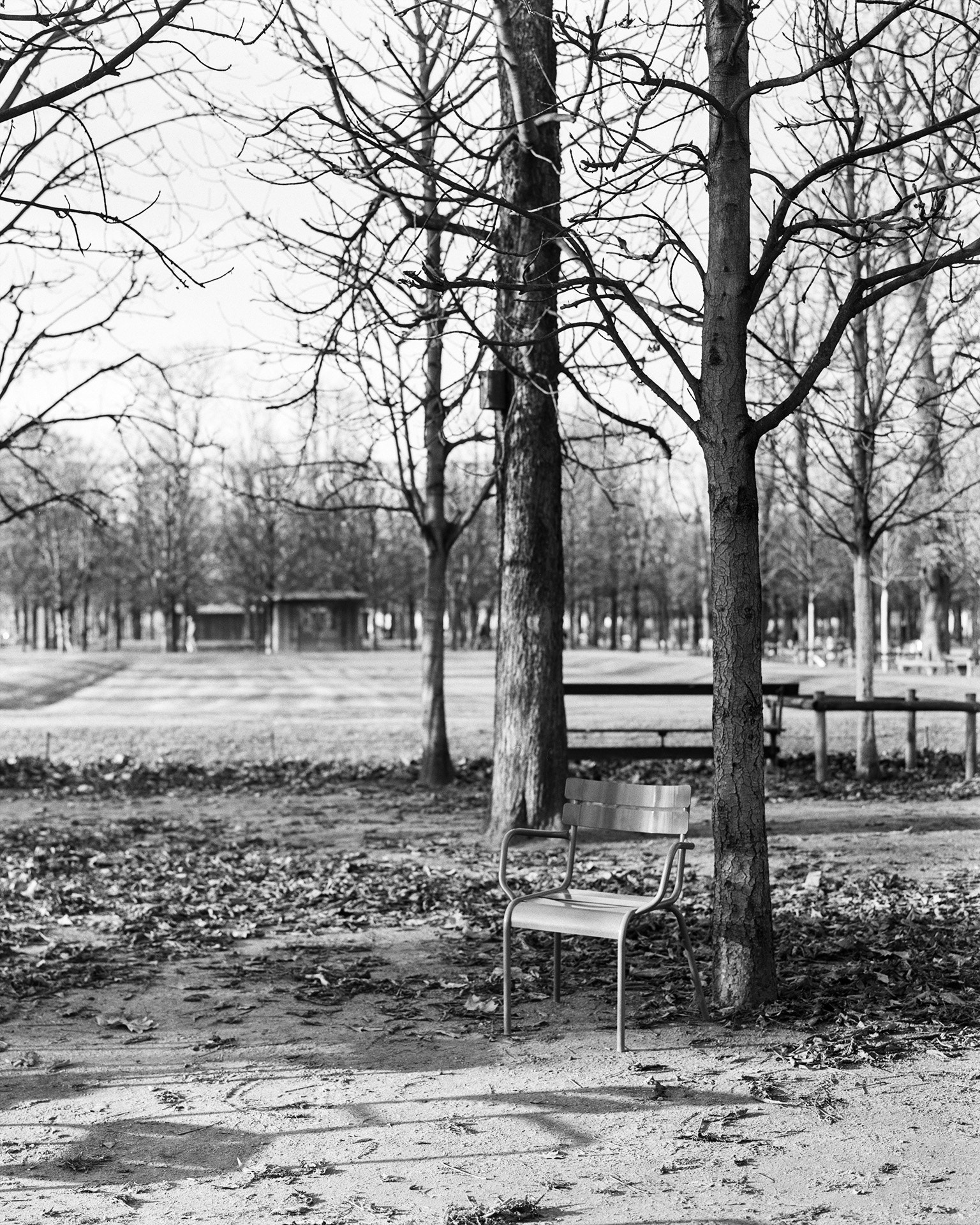 Canon EOS 5DS sample photo. Chaise au jardin des tuileries photography