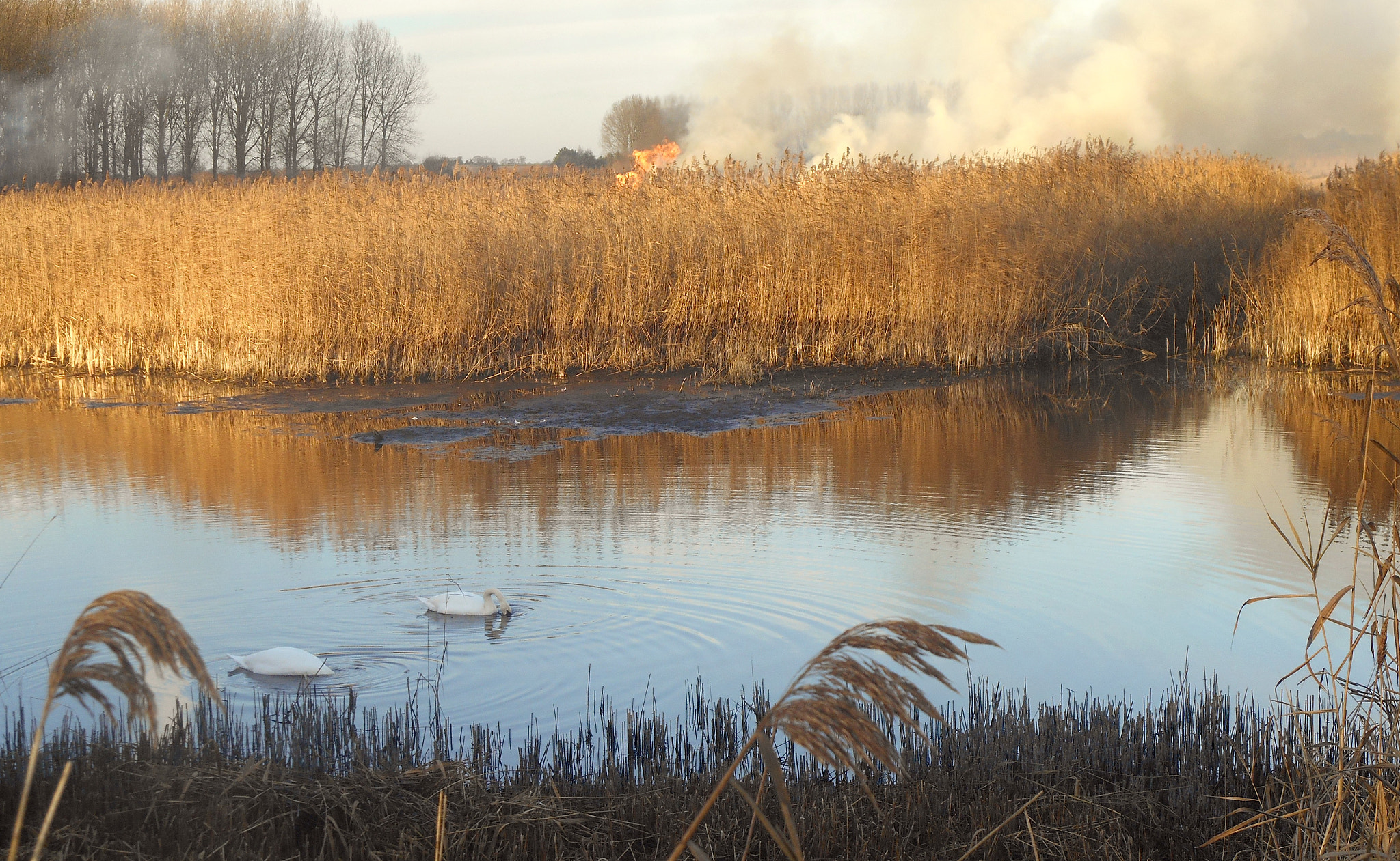 Nikon COOLPIX S3400 sample photo. Fenland scene photography