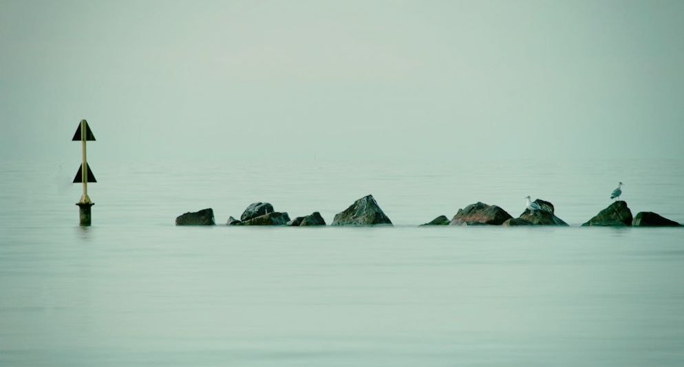 Canon EF-S 55-250mm F4-5.6 IS STM sample photo. Underworld photography
