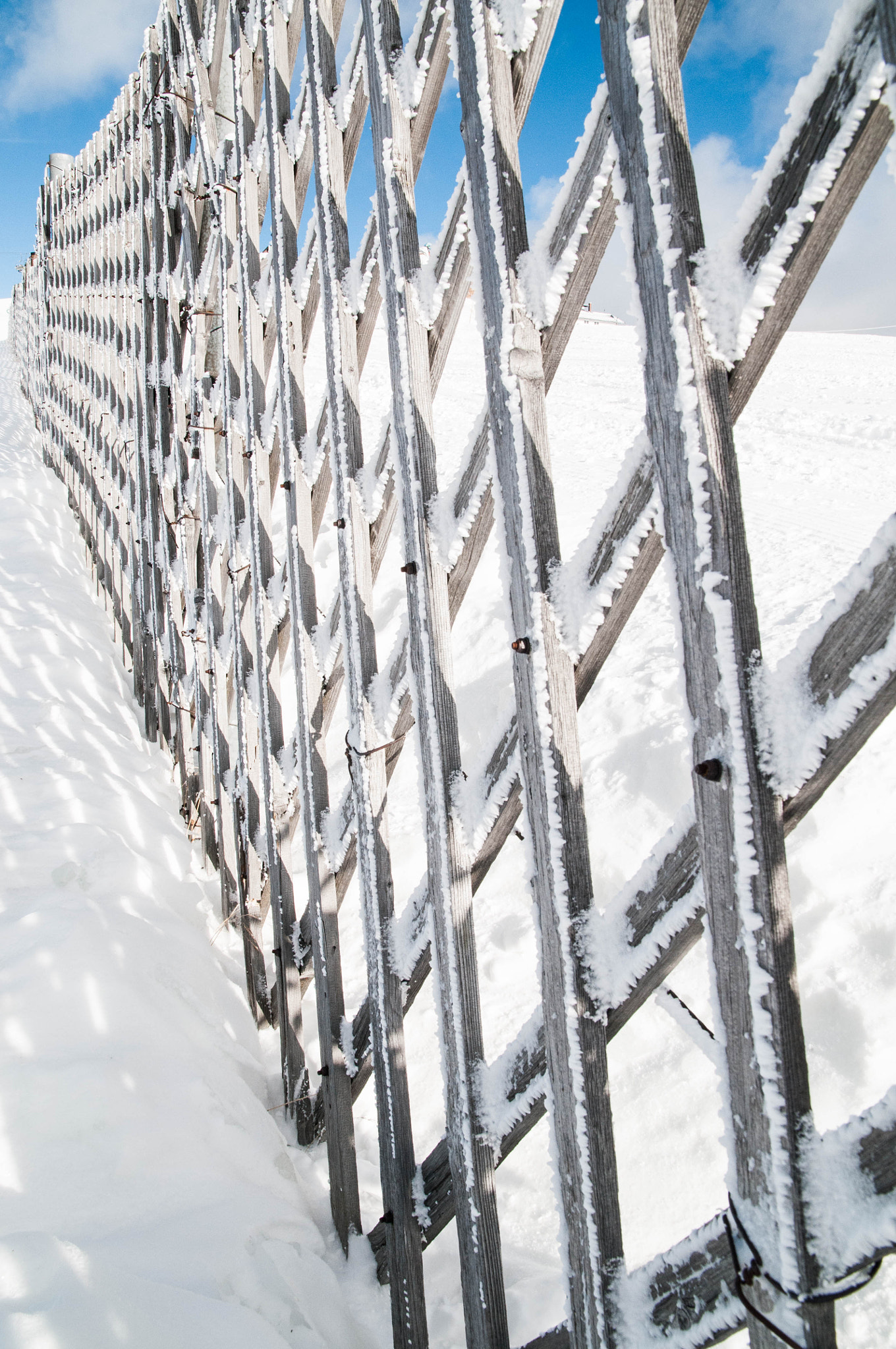 Sigma 17-70mm F2.8-4.5 DC Macro Asp. IF sample photo. Snowy fence photography