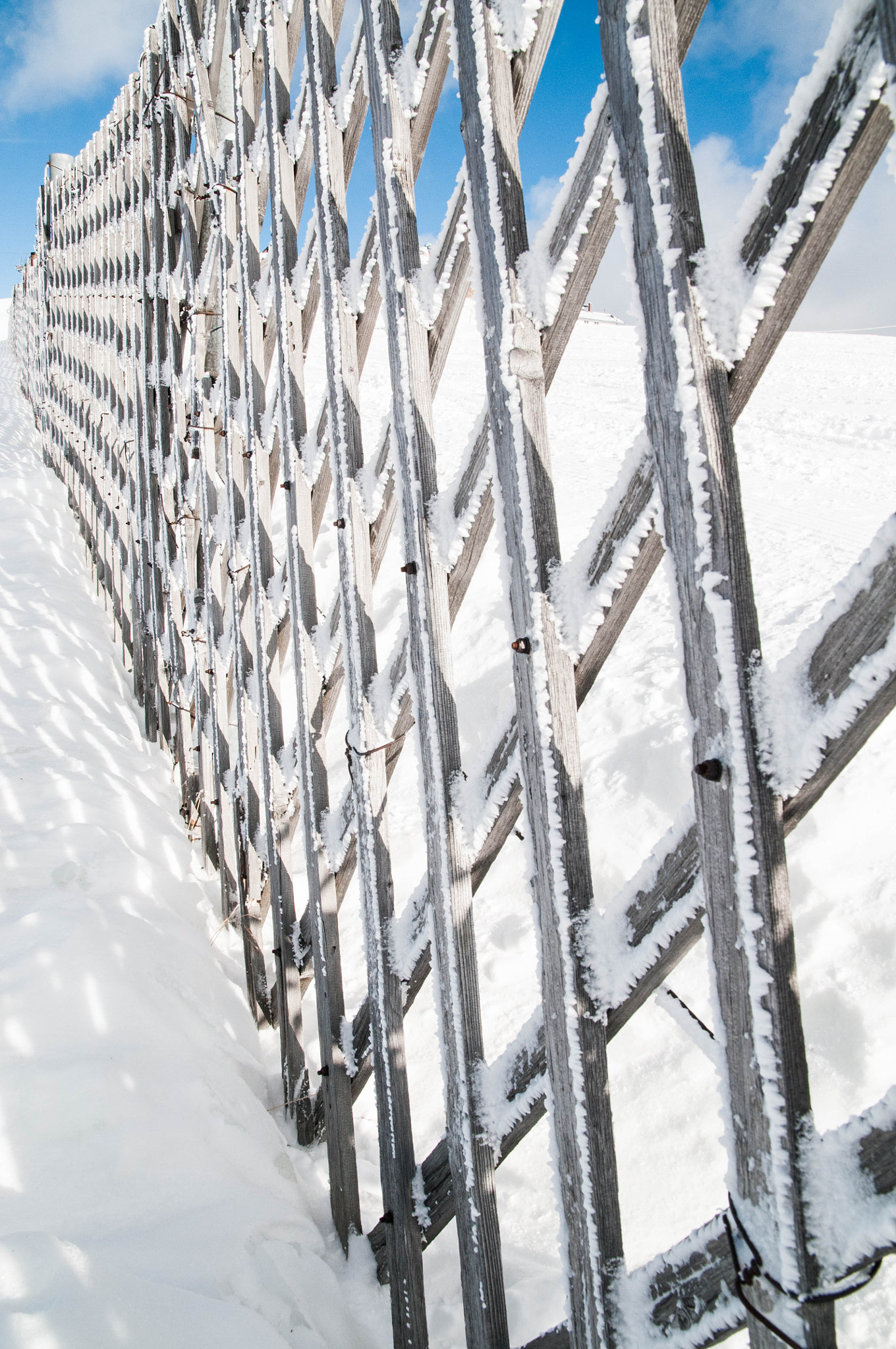 Nikon D300 + Sigma 17-70mm F2.8-4.5 DC Macro Asp. IF sample photo. Snowy fence photography