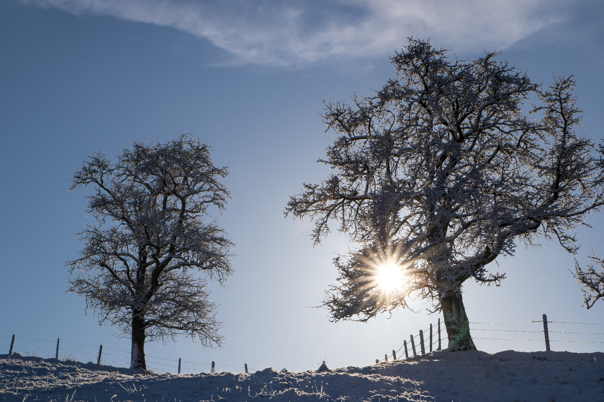 Sigma 24-70mm F2.8 EX DG Macro sample photo. Rising winter sun photography