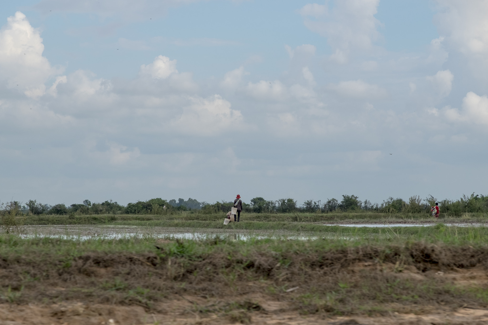 Fujifilm X-T10 + Fujifilm XF 18-135mm F3.5-5.6 R LM OIS WR sample photo. Peasant in a field photography