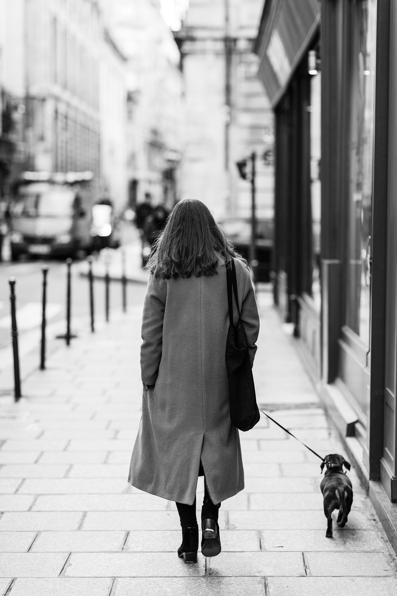 Canon EOS 5DS + Canon EF 85mm F1.2L II USM sample photo. Balade canine photography
