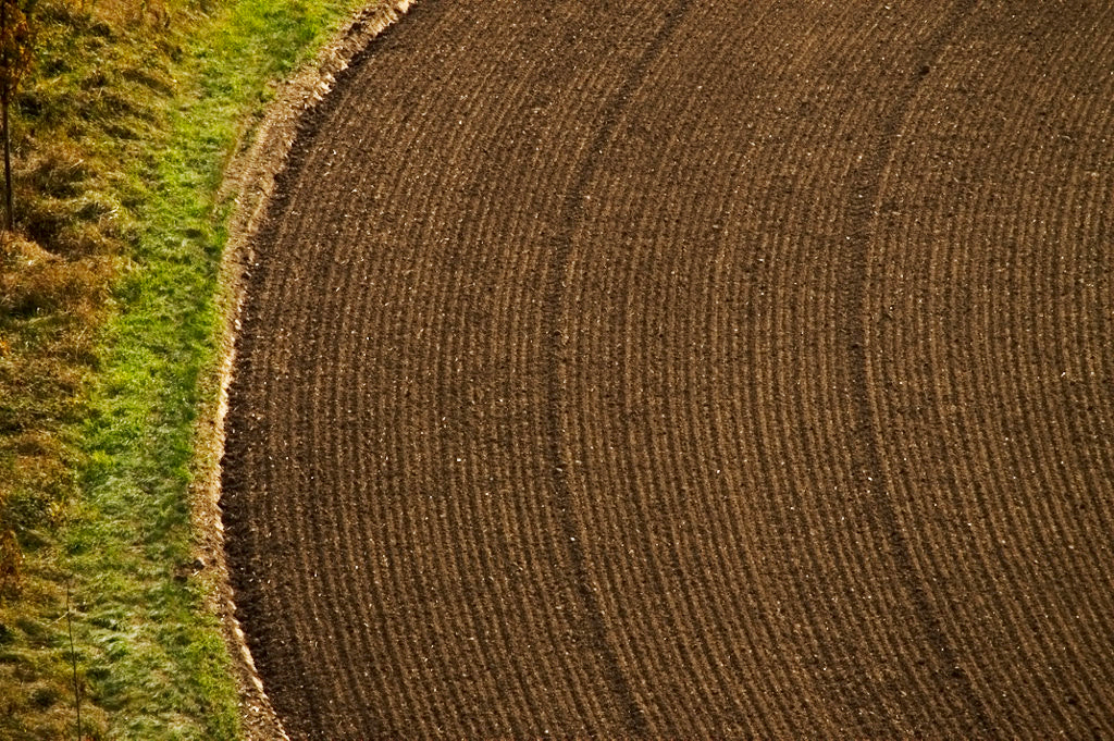 Canon EF-S 55-250mm F4-5.6 IS STM sample photo. From above photography