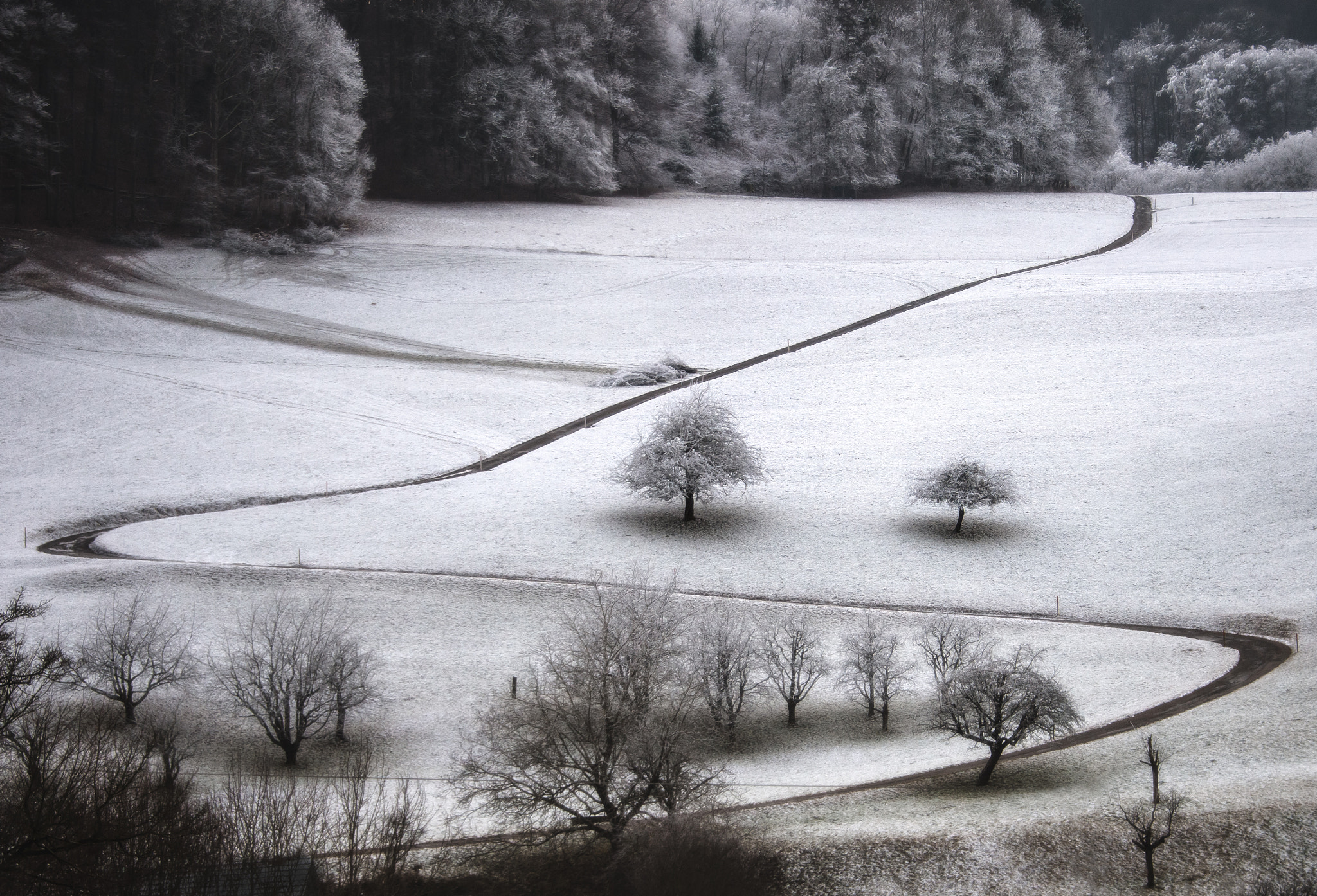 Nikon D5 sample photo. Winter dream photography