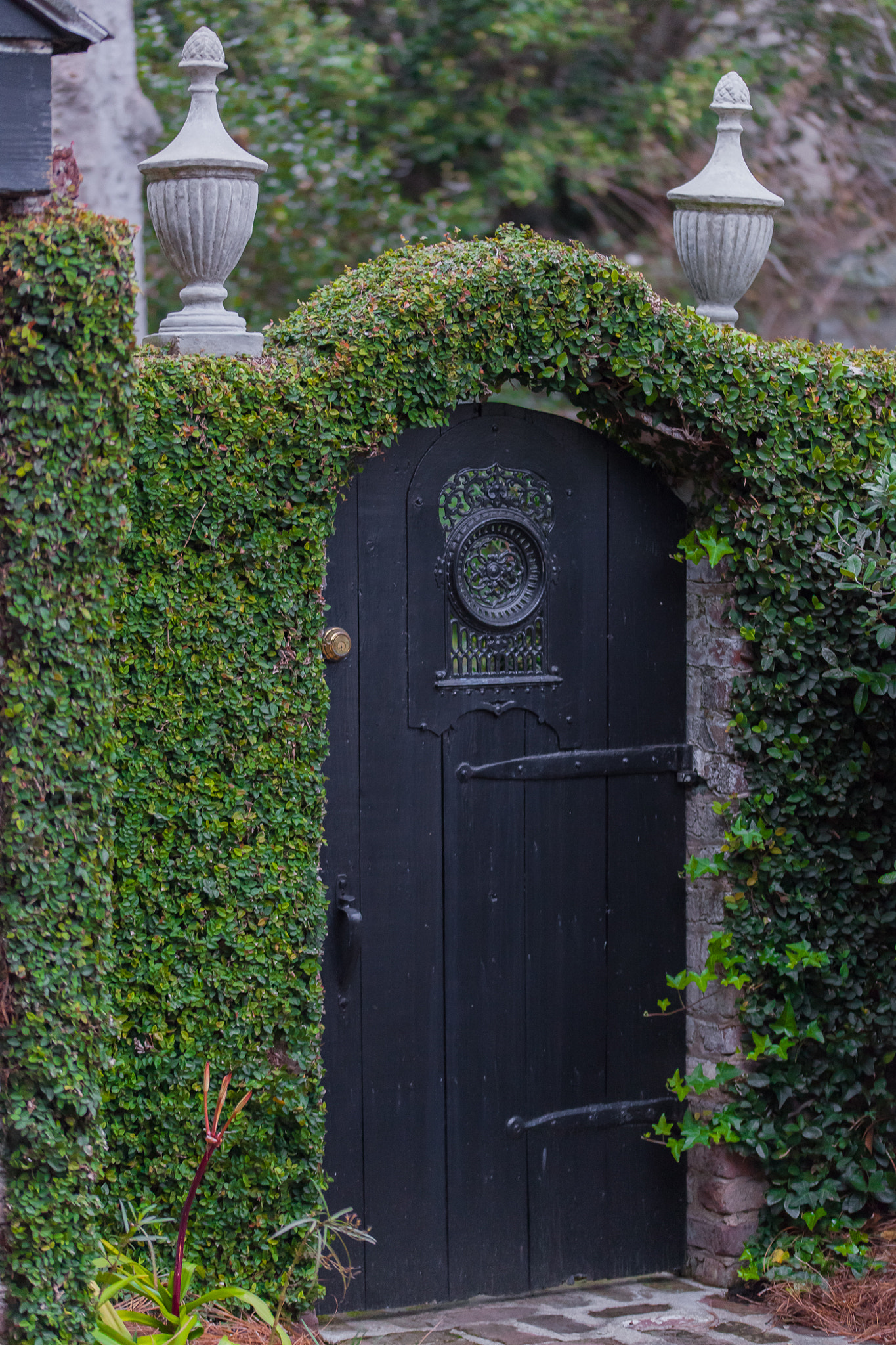 Sigma 105mm F2.8 EX DG OS HSM sample photo. A growing gate photography