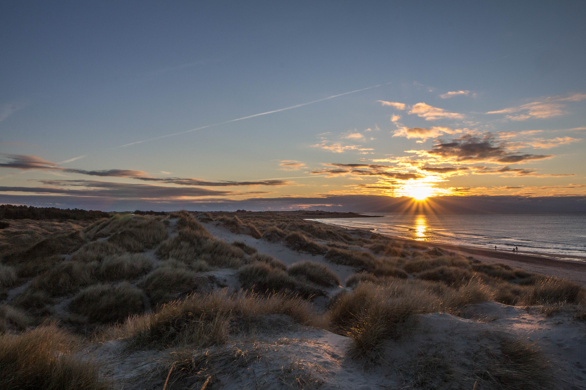 Canon EOS 60D + Sigma 8-16mm F4.5-5.6 DC HSM sample photo. Sunny dunes photography