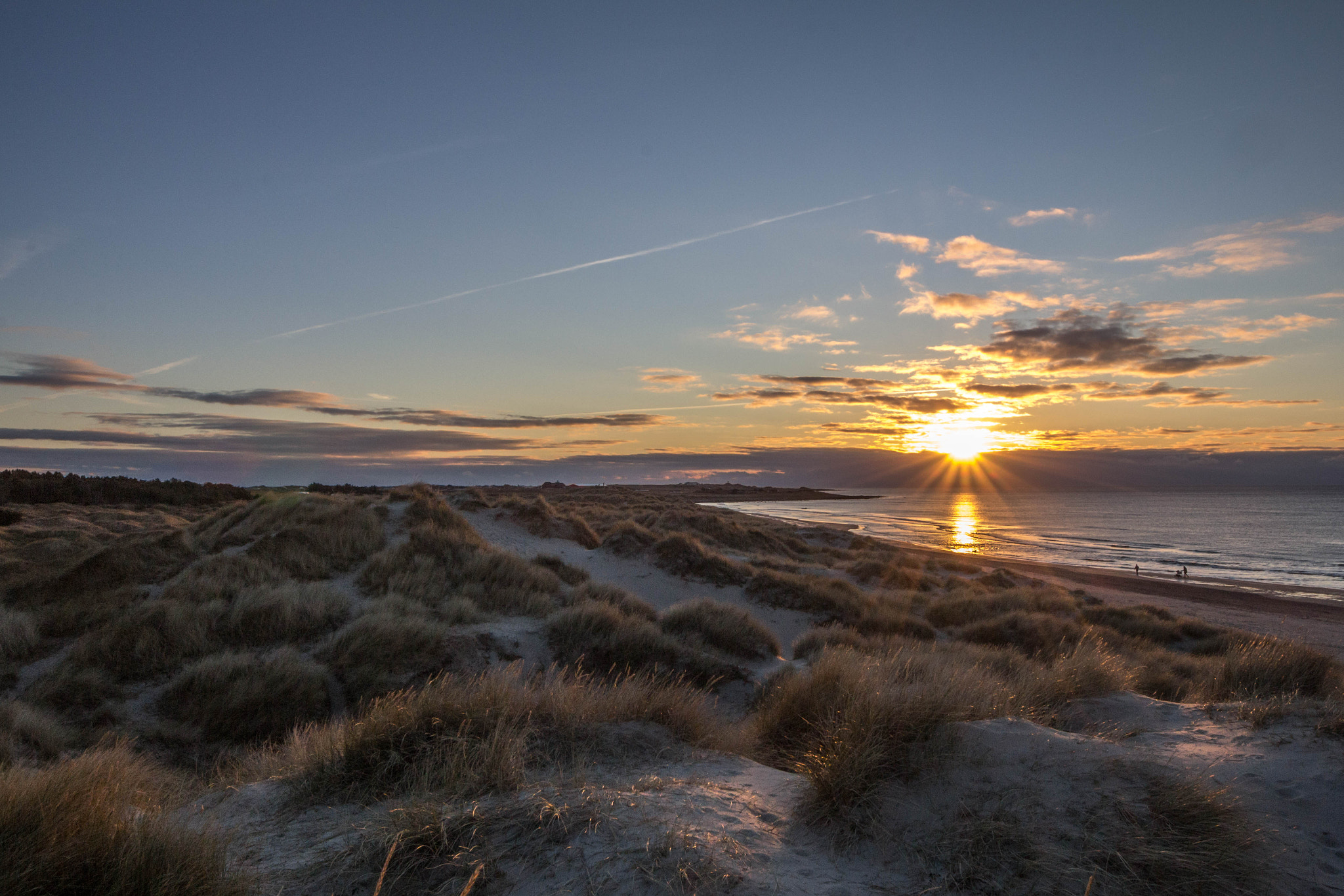 Sigma 8-16mm F4.5-5.6 DC HSM sample photo. Sunny dunes photography