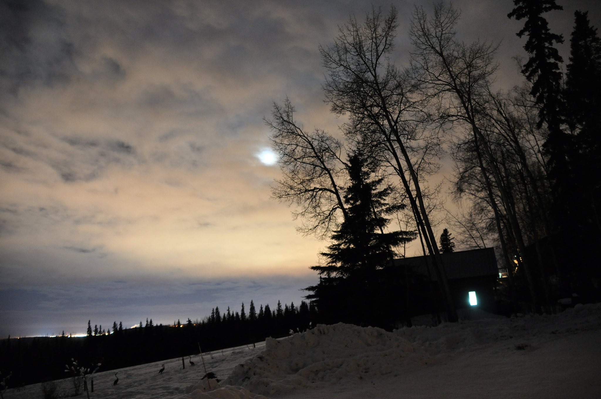 Nikon D5000 sample photo. A quiet night photography
