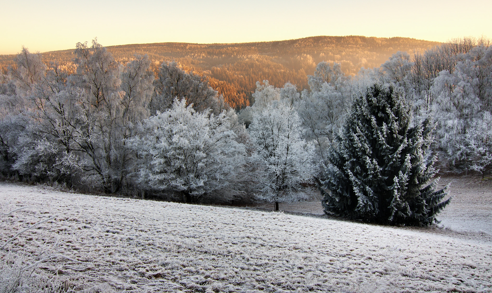 Tokina AT-X Pro 12-24mm F4 (IF) DX sample photo. Frosty sunrise photography