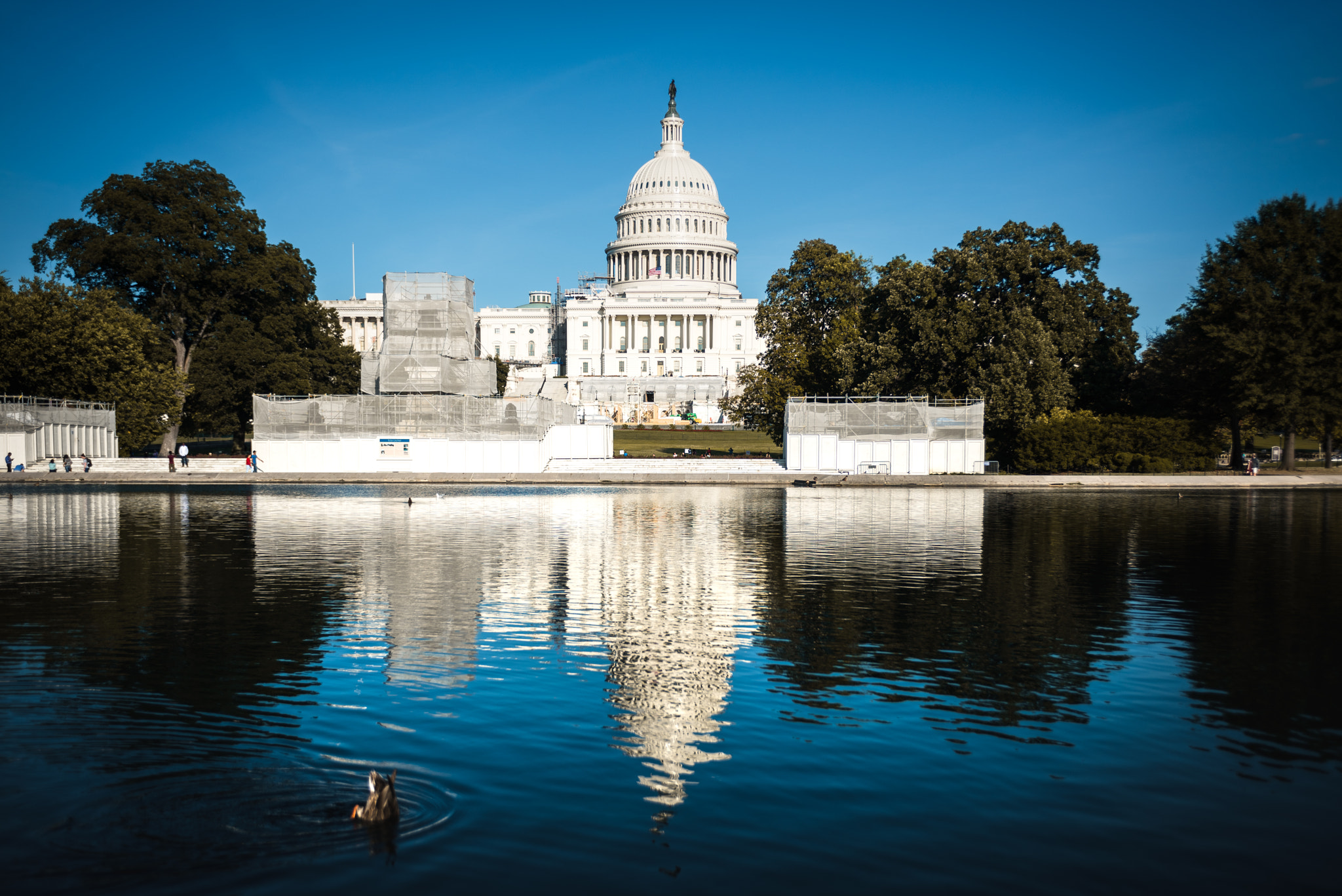 Nikon D810 + Nikon AF-S Nikkor 28-70mm F2.8 ED-IF sample photo. Us capitol and reflecting pool photography