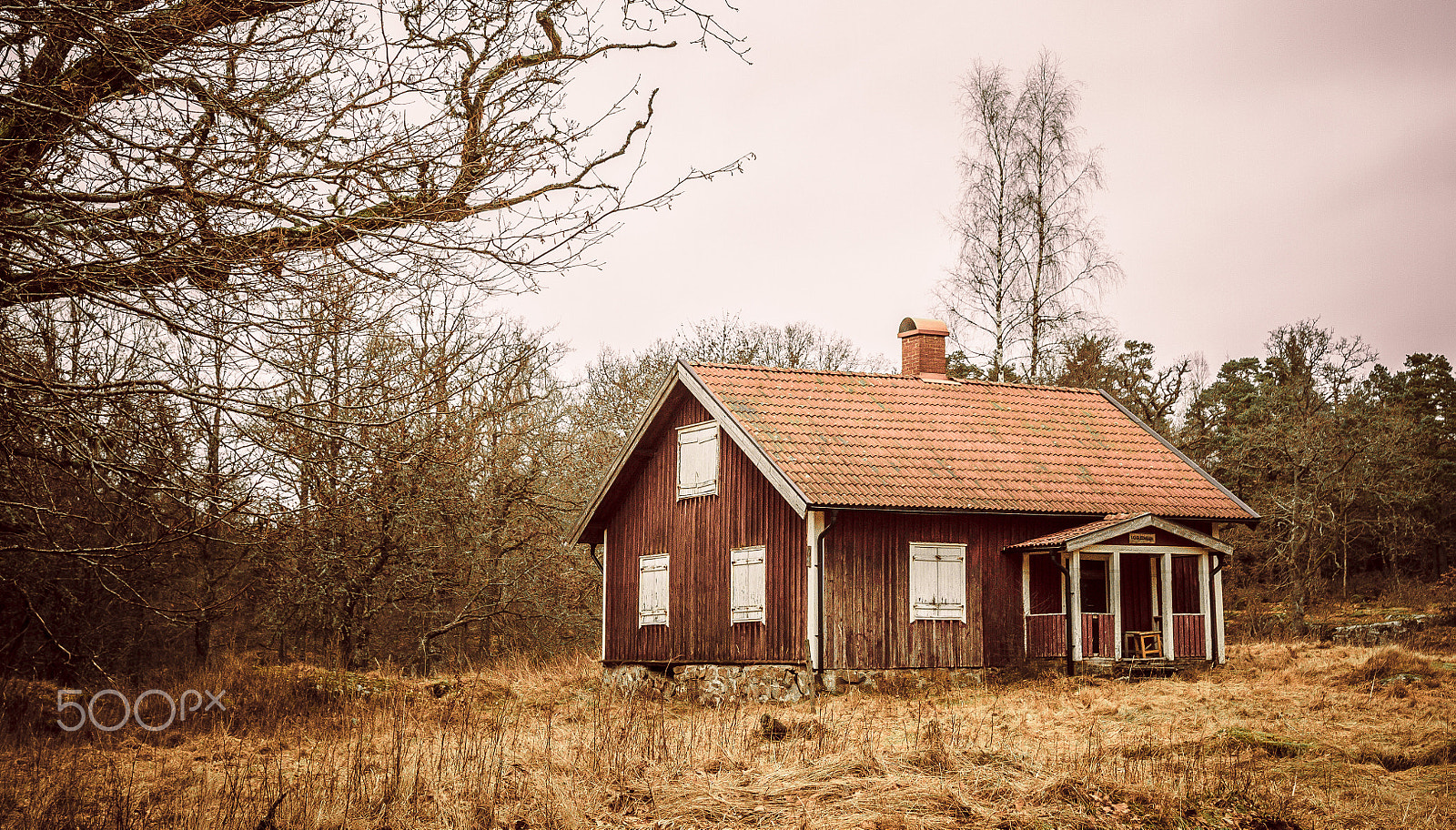 Sigma 18-35mm f/1.8 DC HSM sample photo. Alone in the woods photography