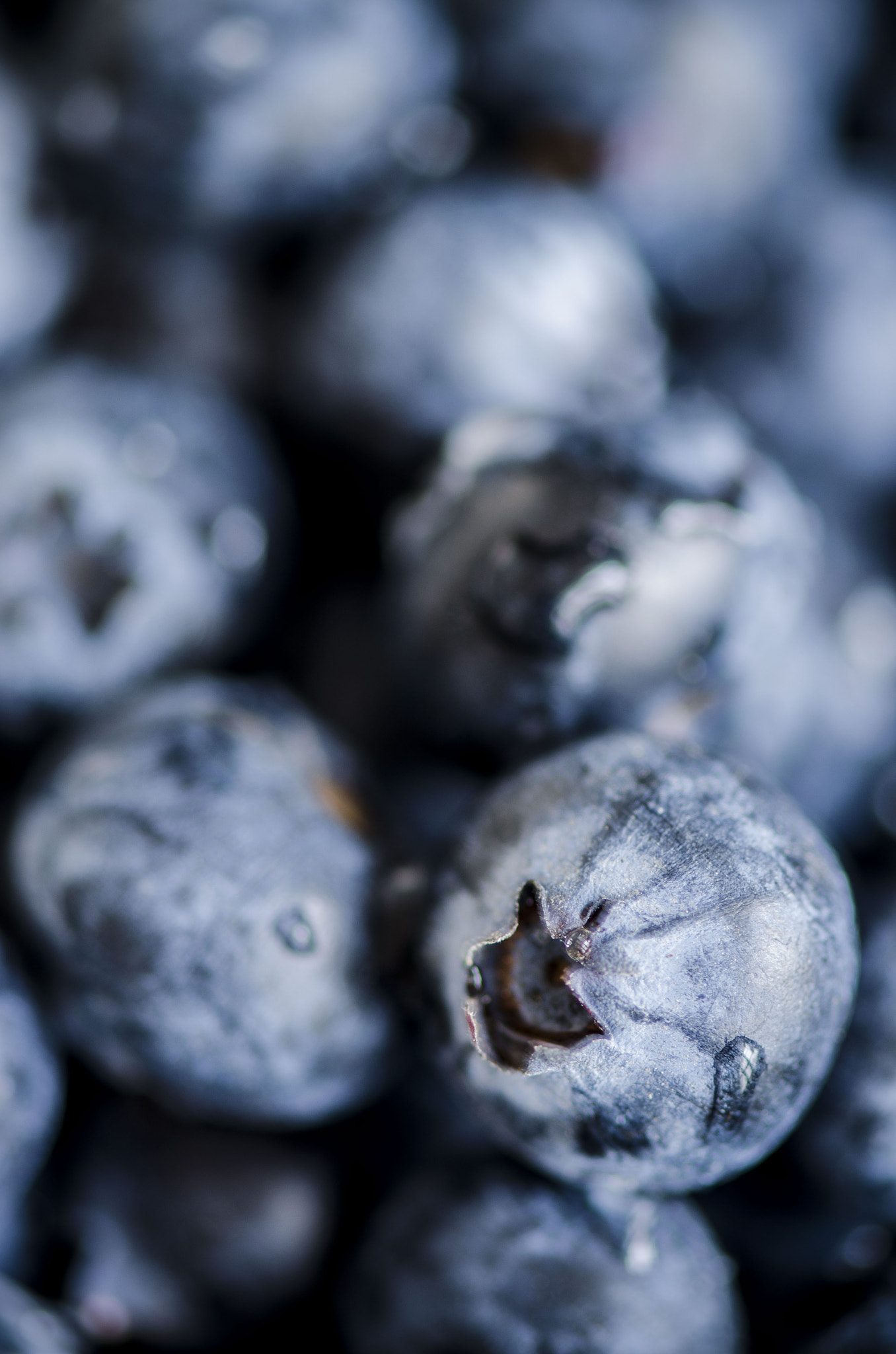 Nikon AF-S Micro-Nikkor 105mm F2.8G IF-ED VR sample photo. Blueberry's photography
