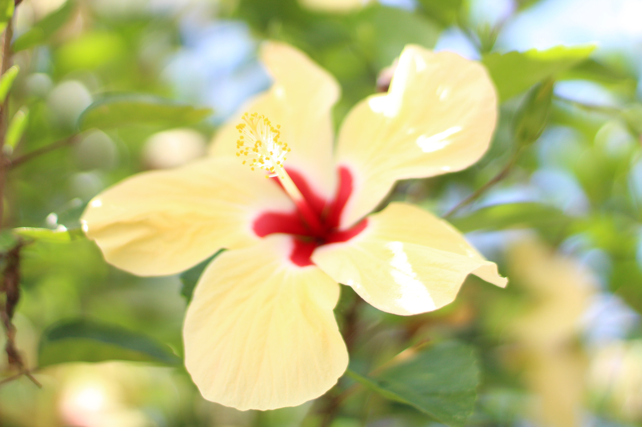 Canon EF 50mm F1.4 USM sample photo