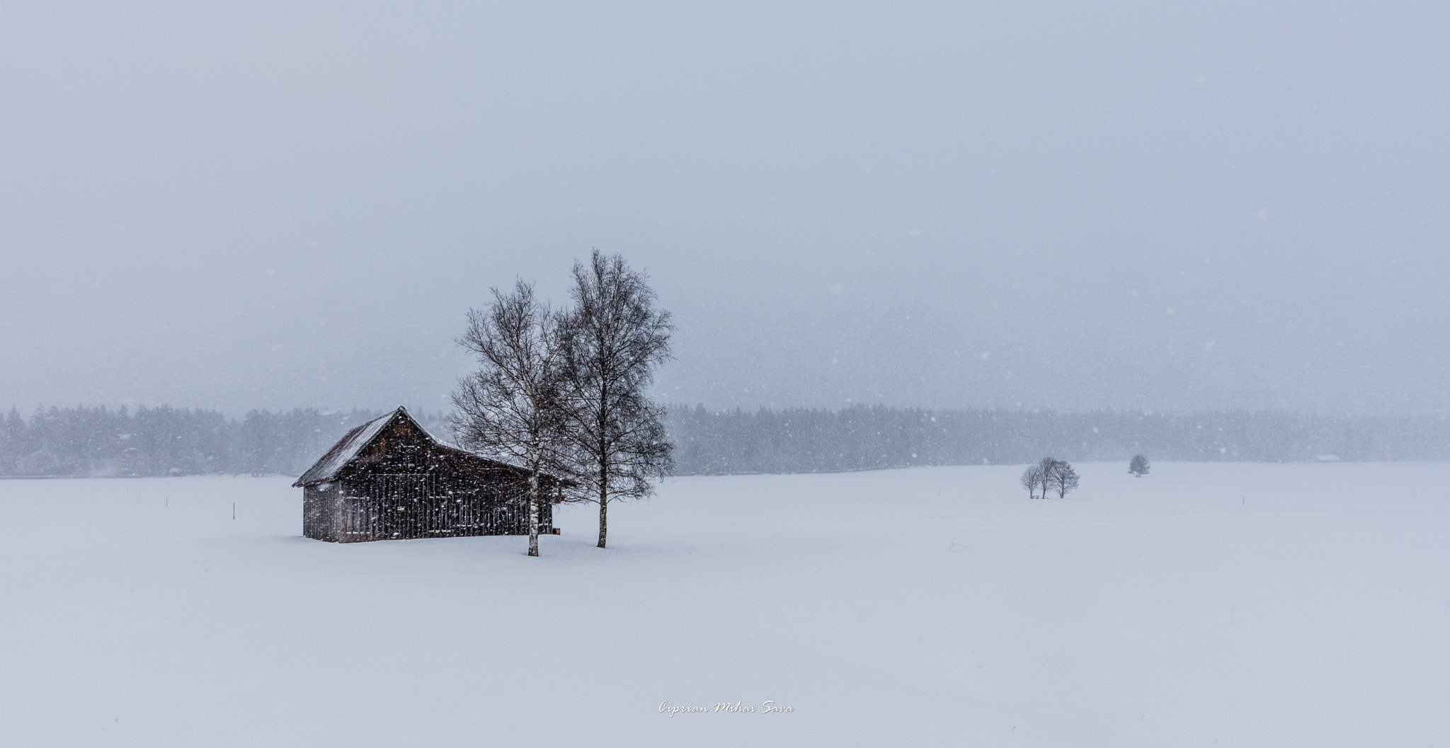 Tamron SP 15-30mm F2.8 Di VC USD sample photo. ...schneesturm... photography