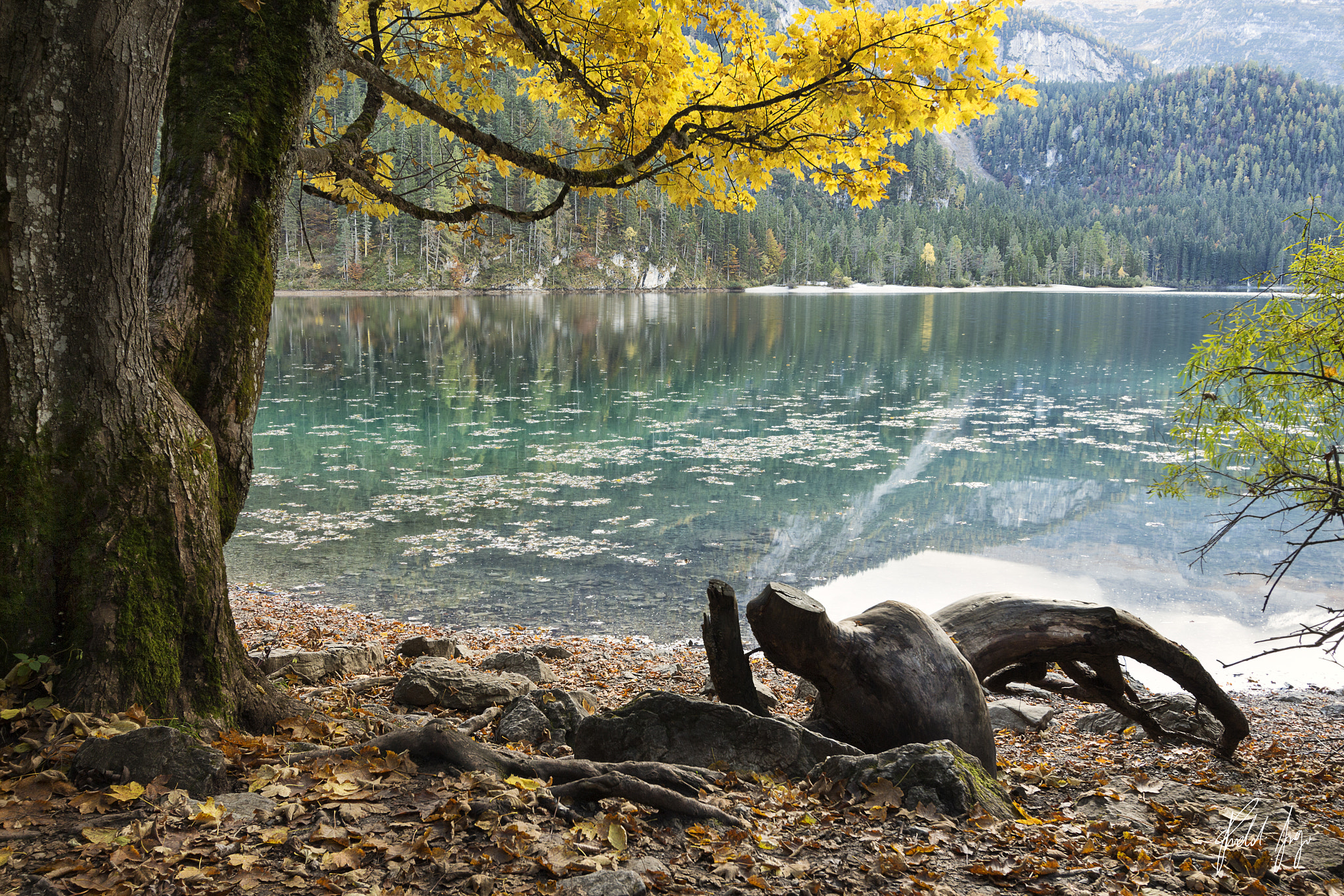 Canon EF-S 10-22mm F3.5-4.5 USM sample photo. Tovel lake photography