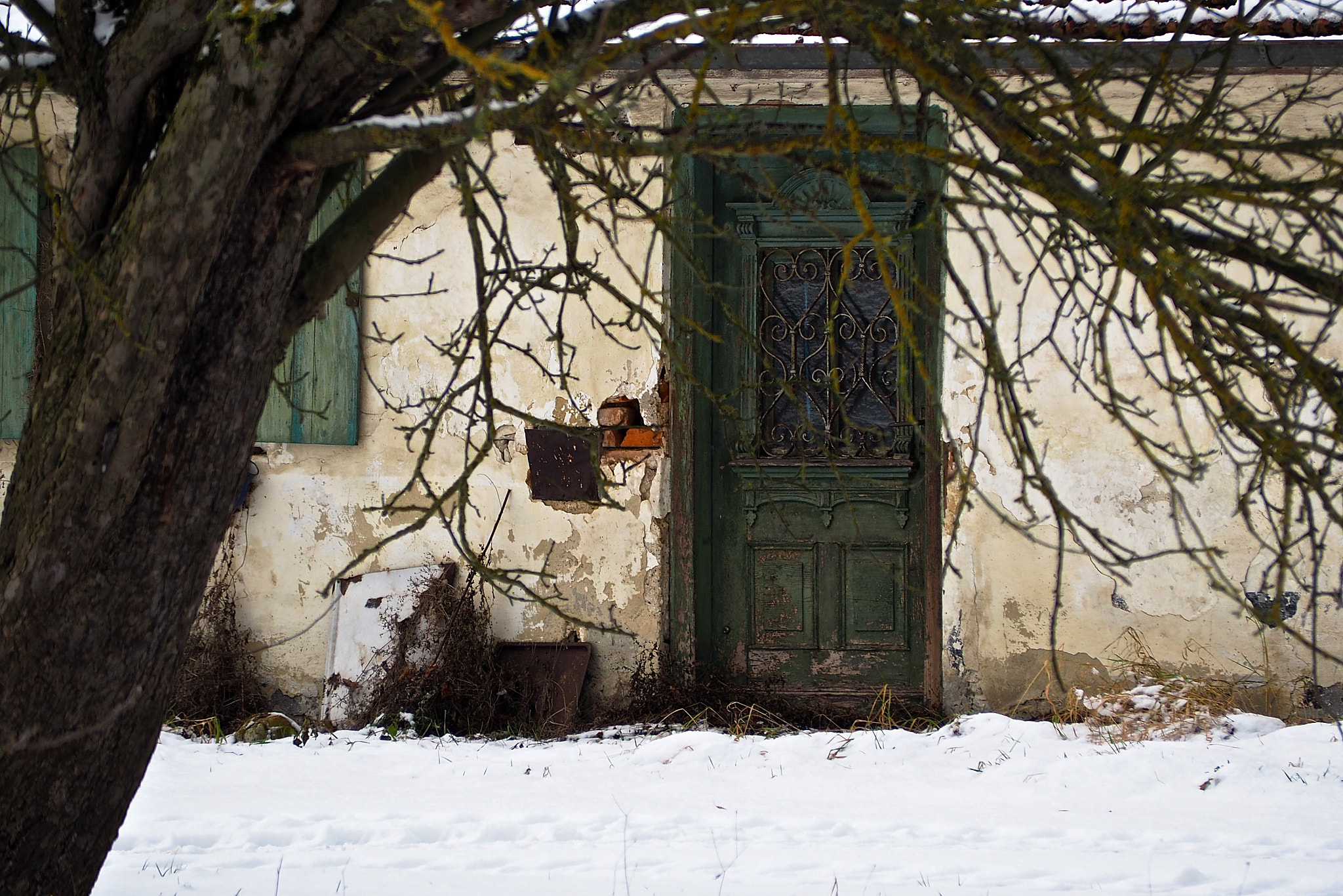 Olympus OM-D E-M5 II sample photo. Last glimpse of neglect photography