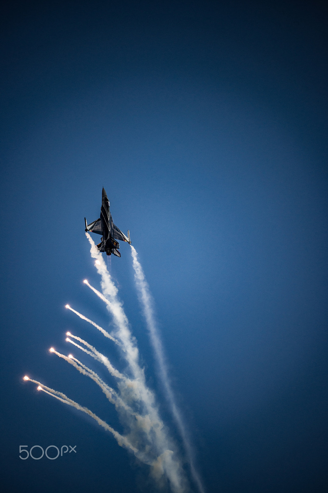 Sony Alpha DSLR-A850 sample photo. Fighting falcon photography