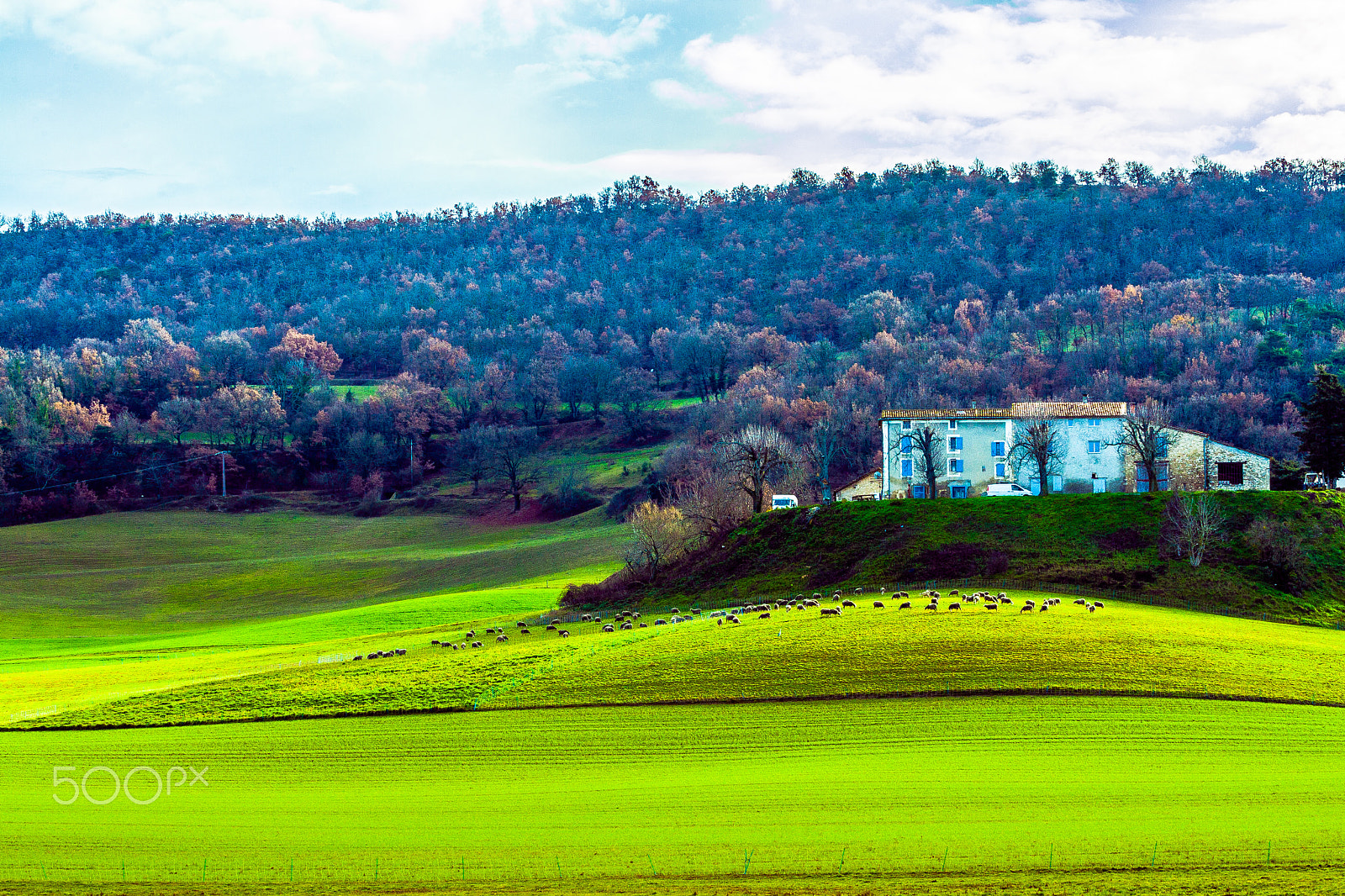 Canon EOS-1D Mark III sample photo. Provence house photography