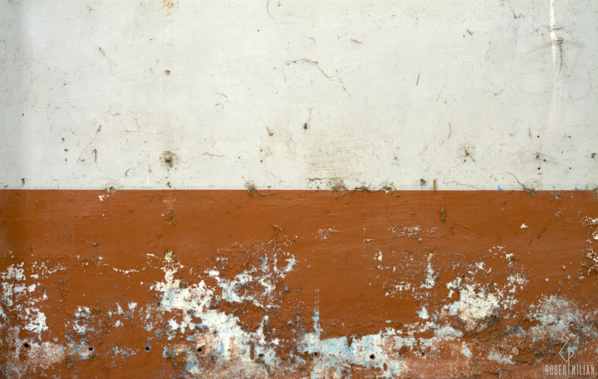 Nikon D7100 + AF Nikkor 50mm f/1.8 sample photo. Texture photography