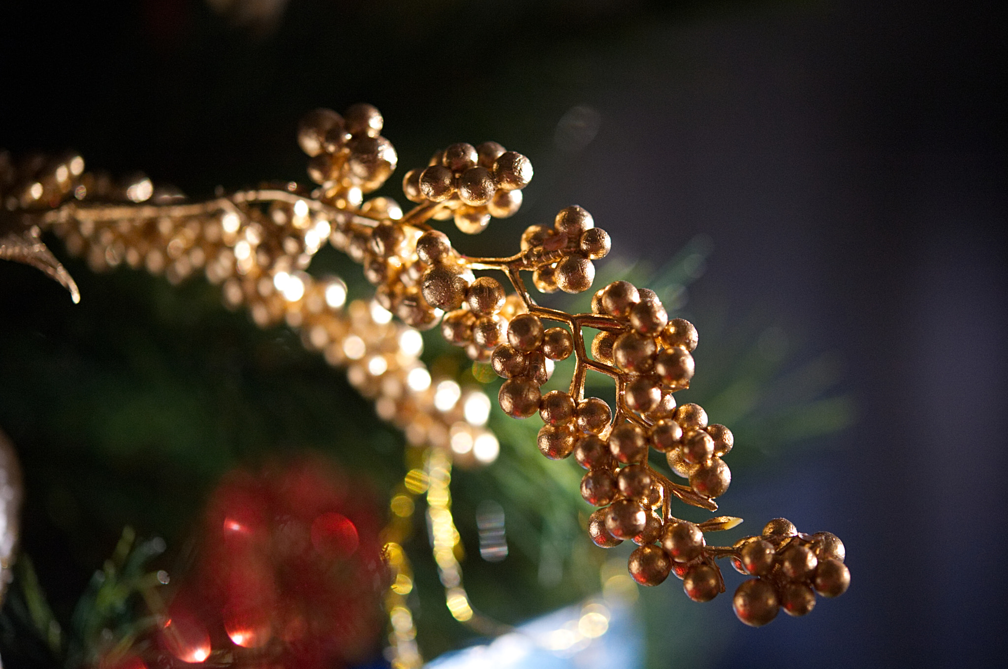 Nikon D700 + Nikon AF-S Micro-Nikkor 60mm F2.8G ED sample photo. Gold in christmas tree photography